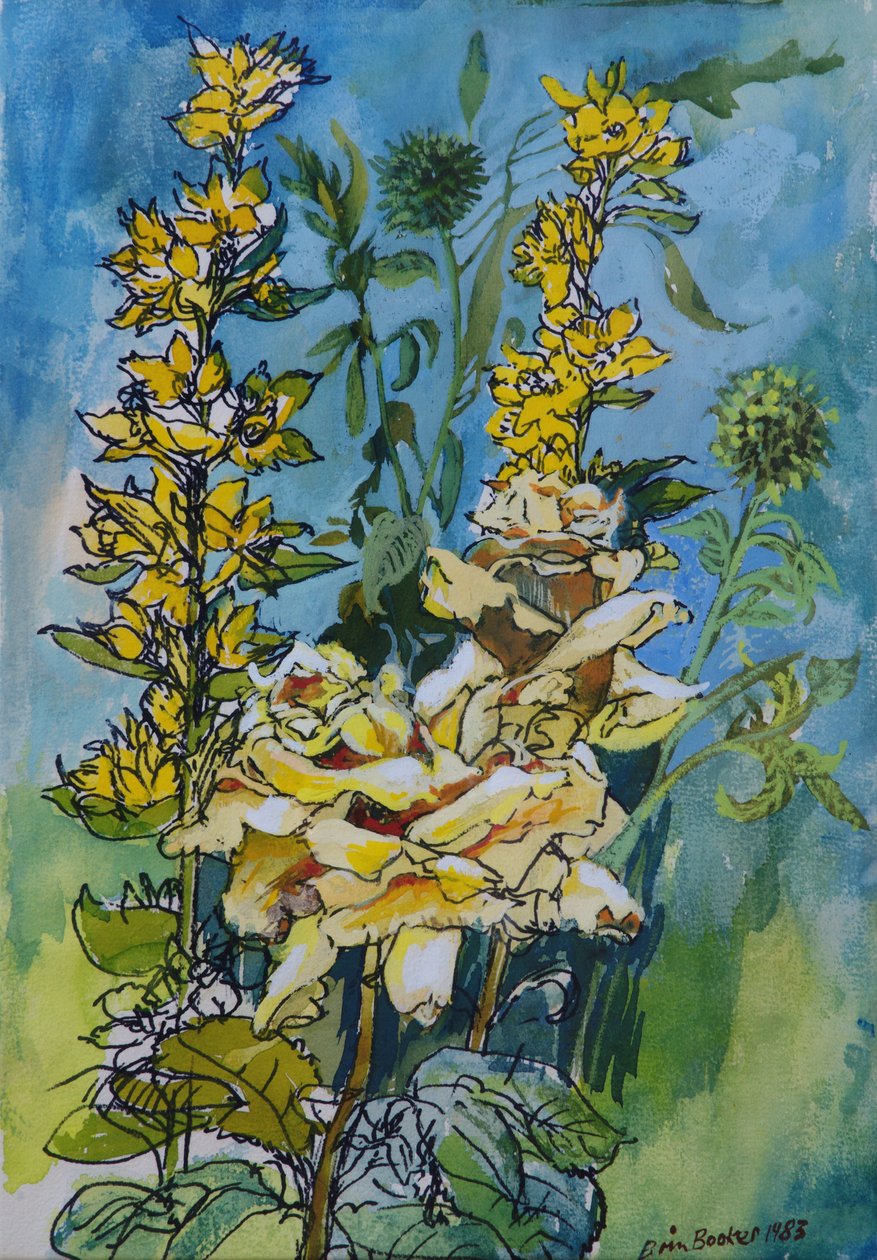 黄玫瑰和珍珠菜，1983年（纸和笔在纸上用墨水） 作者 布伦达·布林·布克