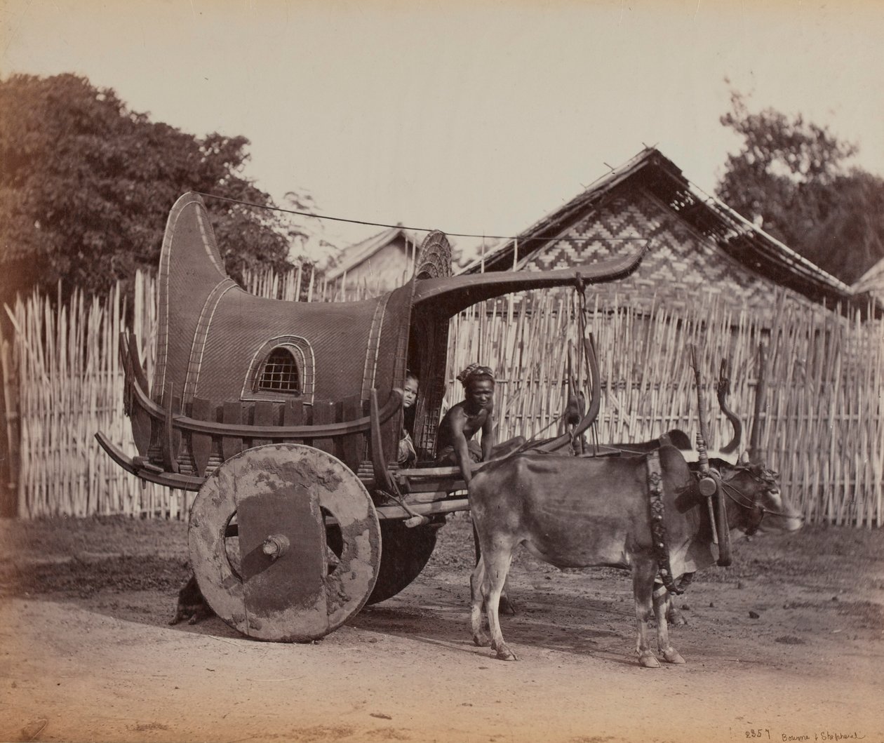 乡村购物车，缅甸（1886-88） 作者 英国摄影师