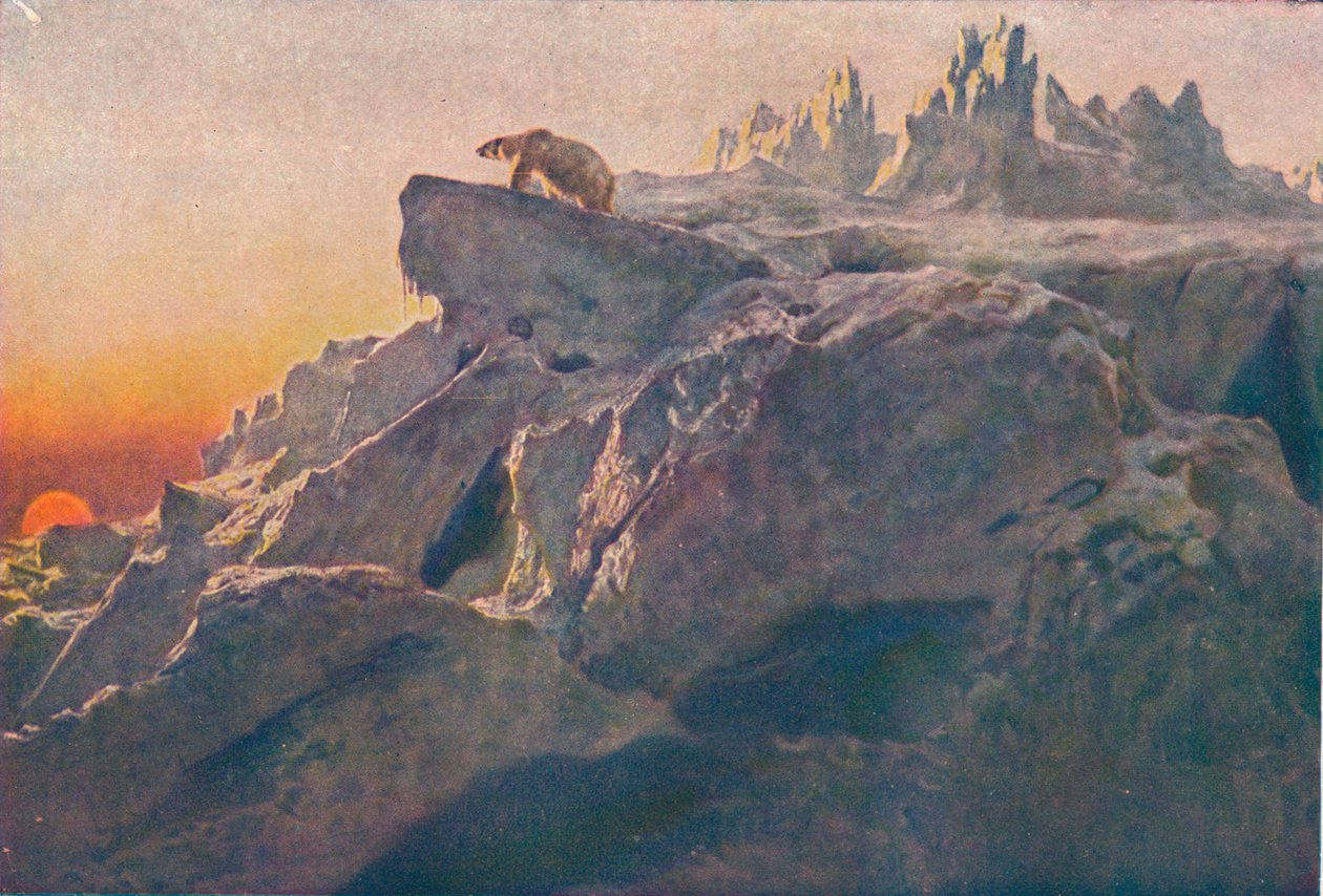 超越人类的足迹，1894年1909年 作者 英国人里维耶尔