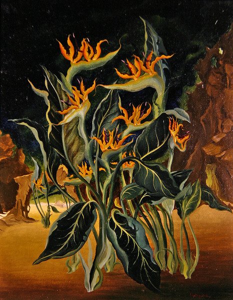 奇花异草（布面油画） 作者 布鲁斯·霍林斯沃思