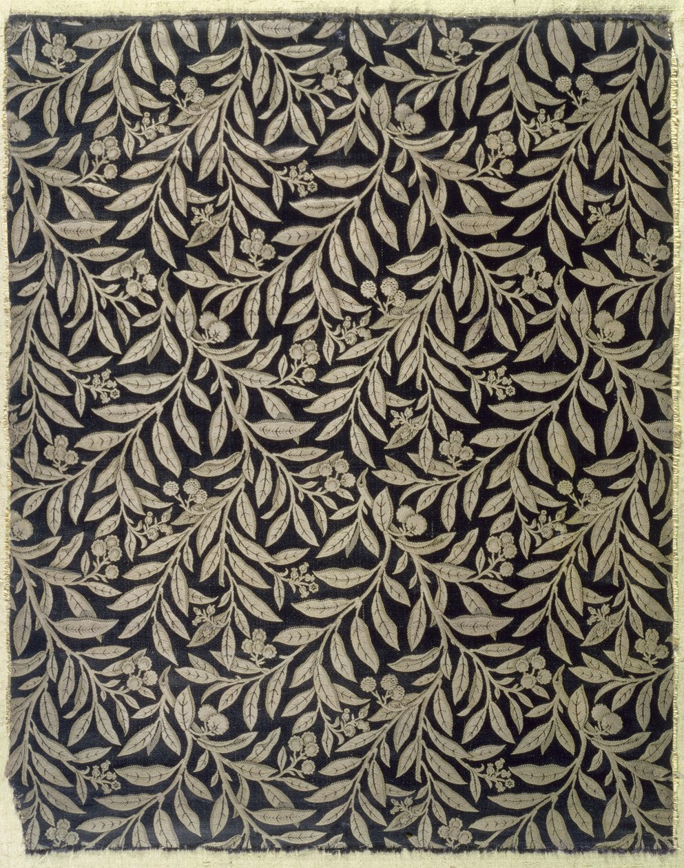 水果和植物，由Warner＆Ramin制造，c.1875（编织丝绸组织） 作者 布鲁斯·詹姆斯·塔尔伯特