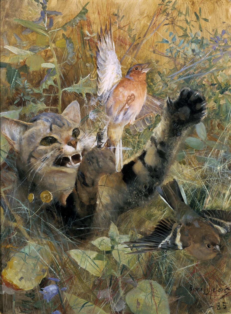 一只猫和一只苍头燕雀，1885年 作者 布鲁诺·安德里亚斯·利耶佛斯（Bruno Andreas Liljefors）