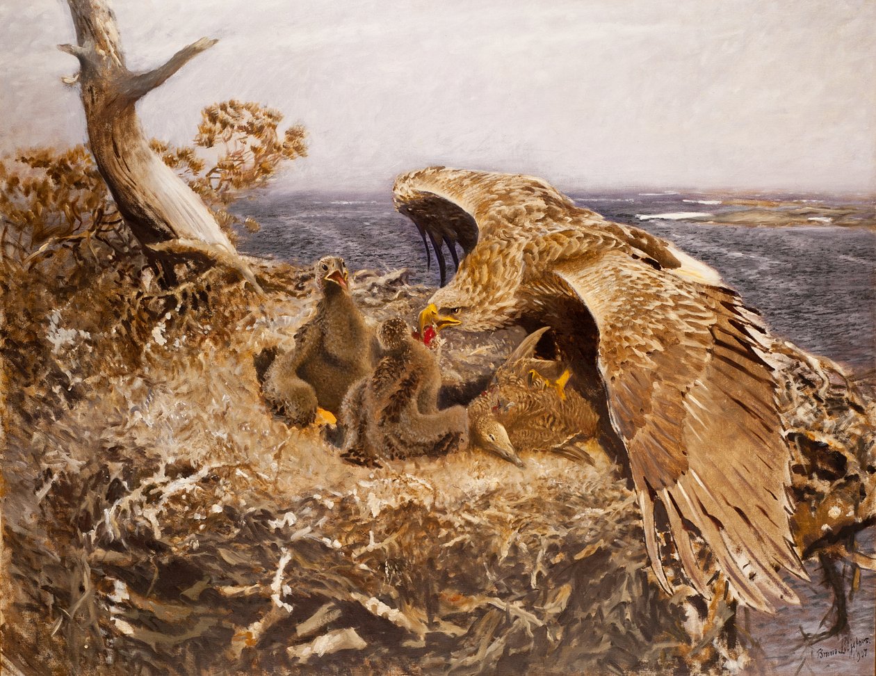 海鹰巢，1907年 作者 布鲁诺·安德里亚斯·利耶佛斯（Bruno Andreas Liljefors）