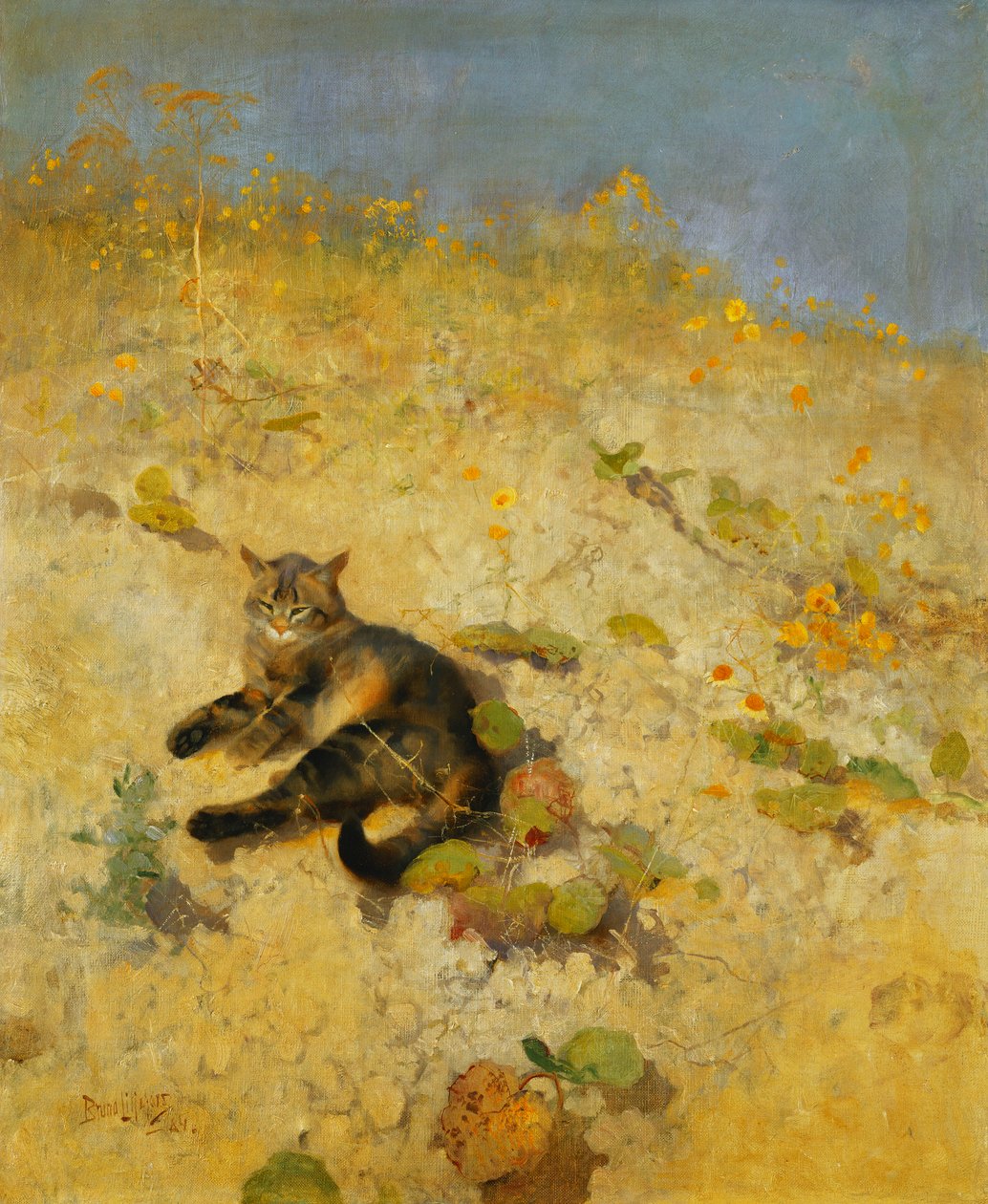 晒太阳的猫 作者 布鲁诺·安德里亚斯·利耶佛斯（Bruno Andreas Liljefors）