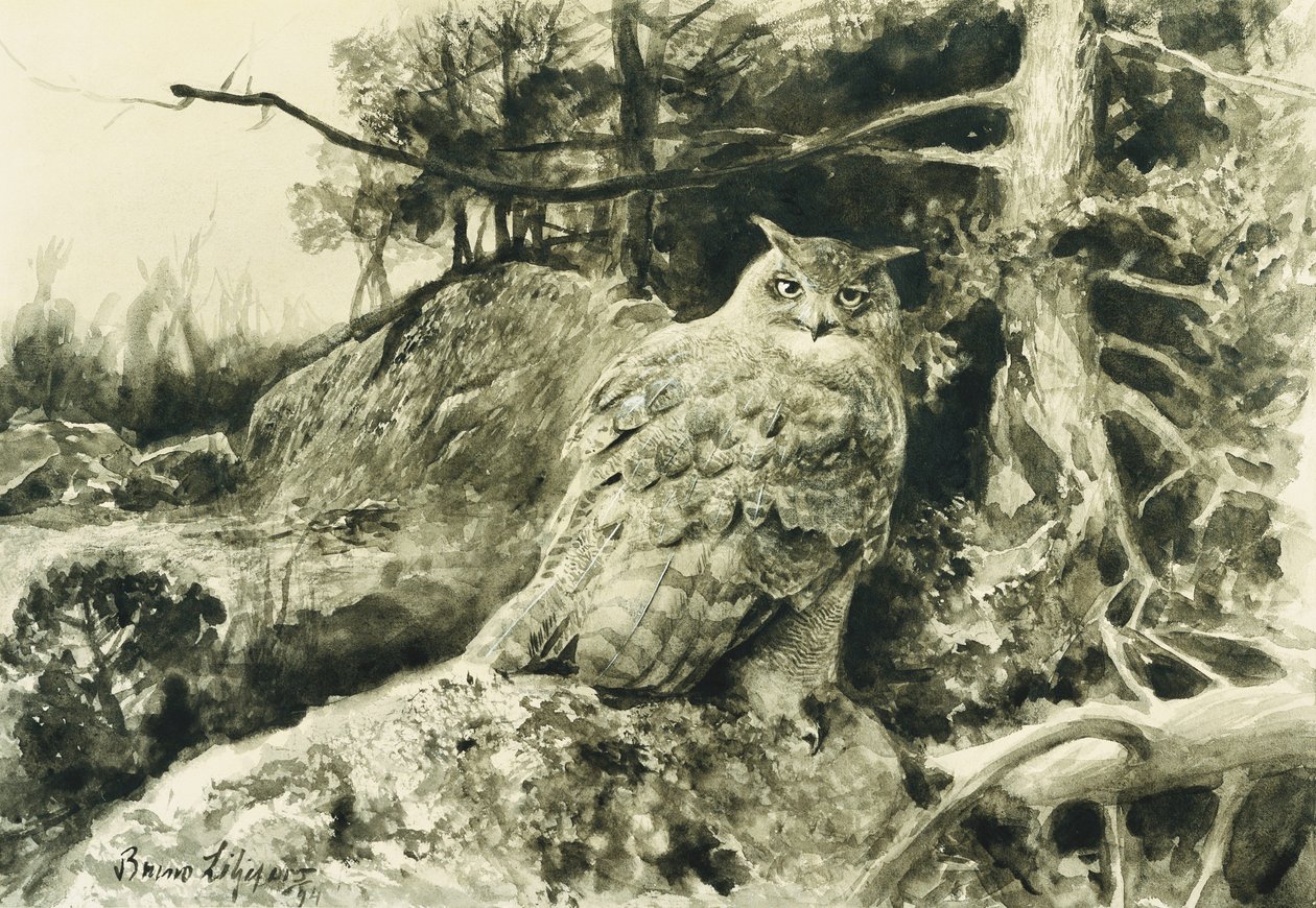 Berguv（鹰猫头鹰）Bubo Bubo 作者 布鲁诺·安德里亚斯·利耶佛斯（Bruno Andreas Liljefors）