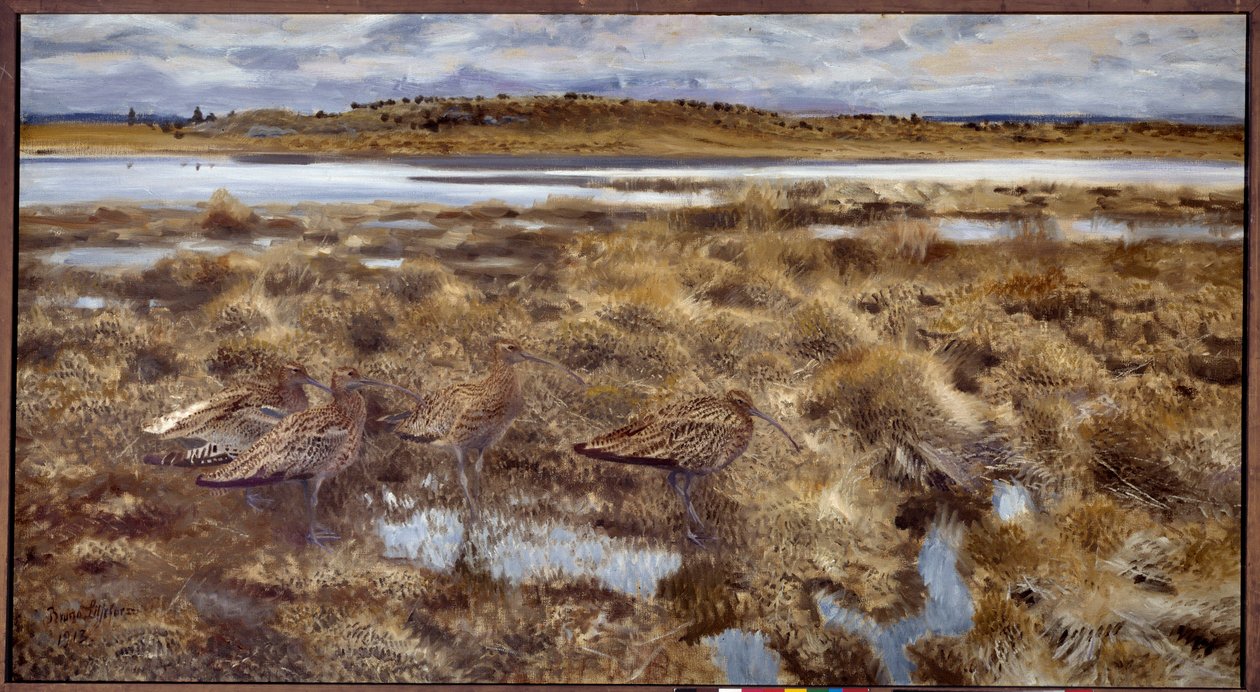 Curlews Birds in the marshes. Painting by Bruno Andreas Liljefors (1860-1939) 1913 Sun. 1,19x2,2 m 作者 布鲁诺·安德里亚斯·利耶佛斯（Bruno Andreas Liljefors）