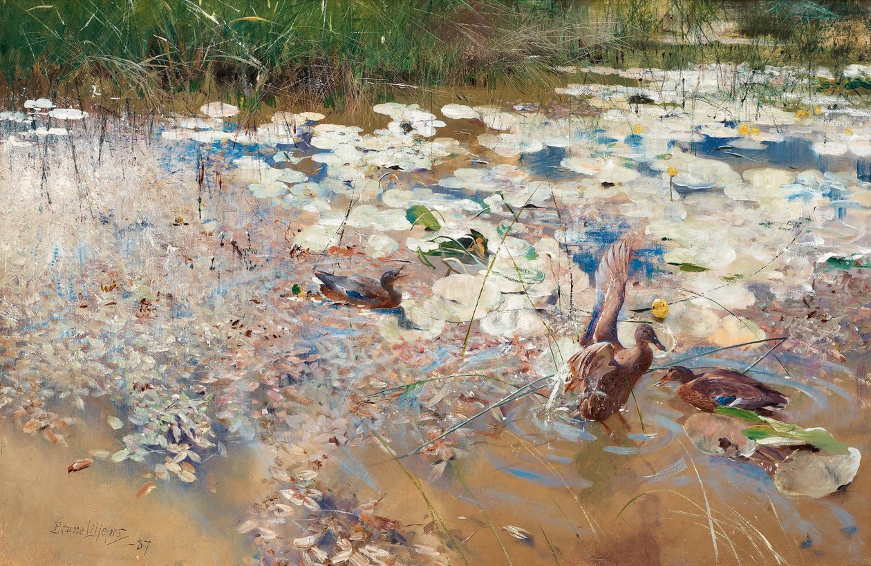 野鸭子，1887年。 作者 布鲁诺·安德里亚斯·利耶佛斯（Bruno Andreas Liljefors）