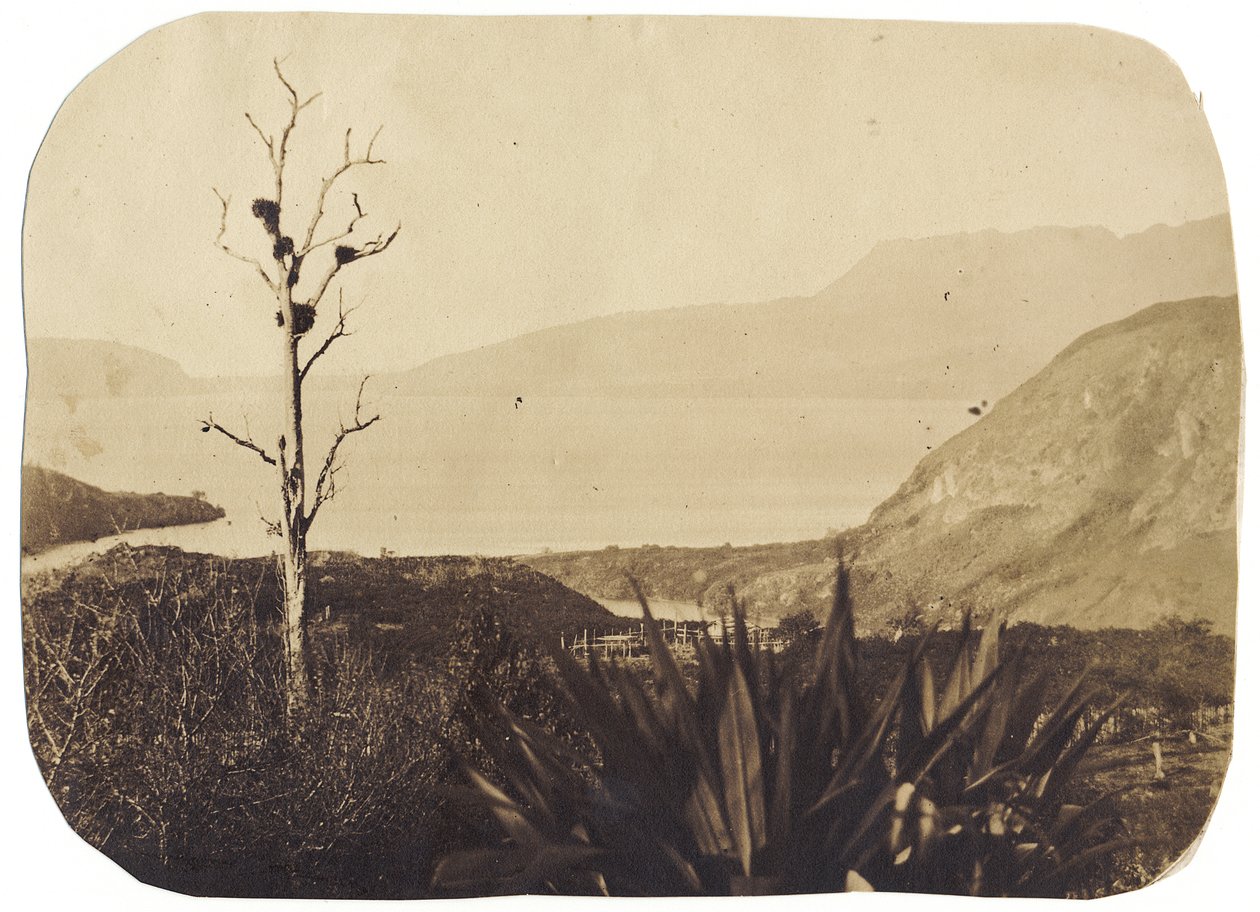 1860年，Wairoa的Lake和Mount Tarawera（蛋白印刷品） 作者 布鲁诺·哈默尔