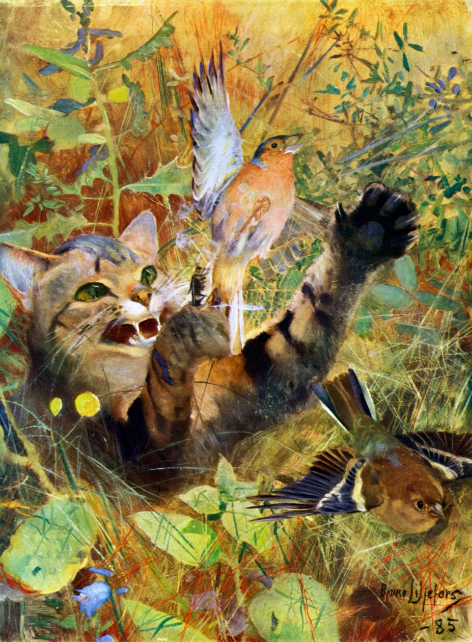 猫和花鸡，1885年1945年。 作者 布鲁诺·安德里亚斯·利耶佛斯（Bruno Andreas Liljefors）