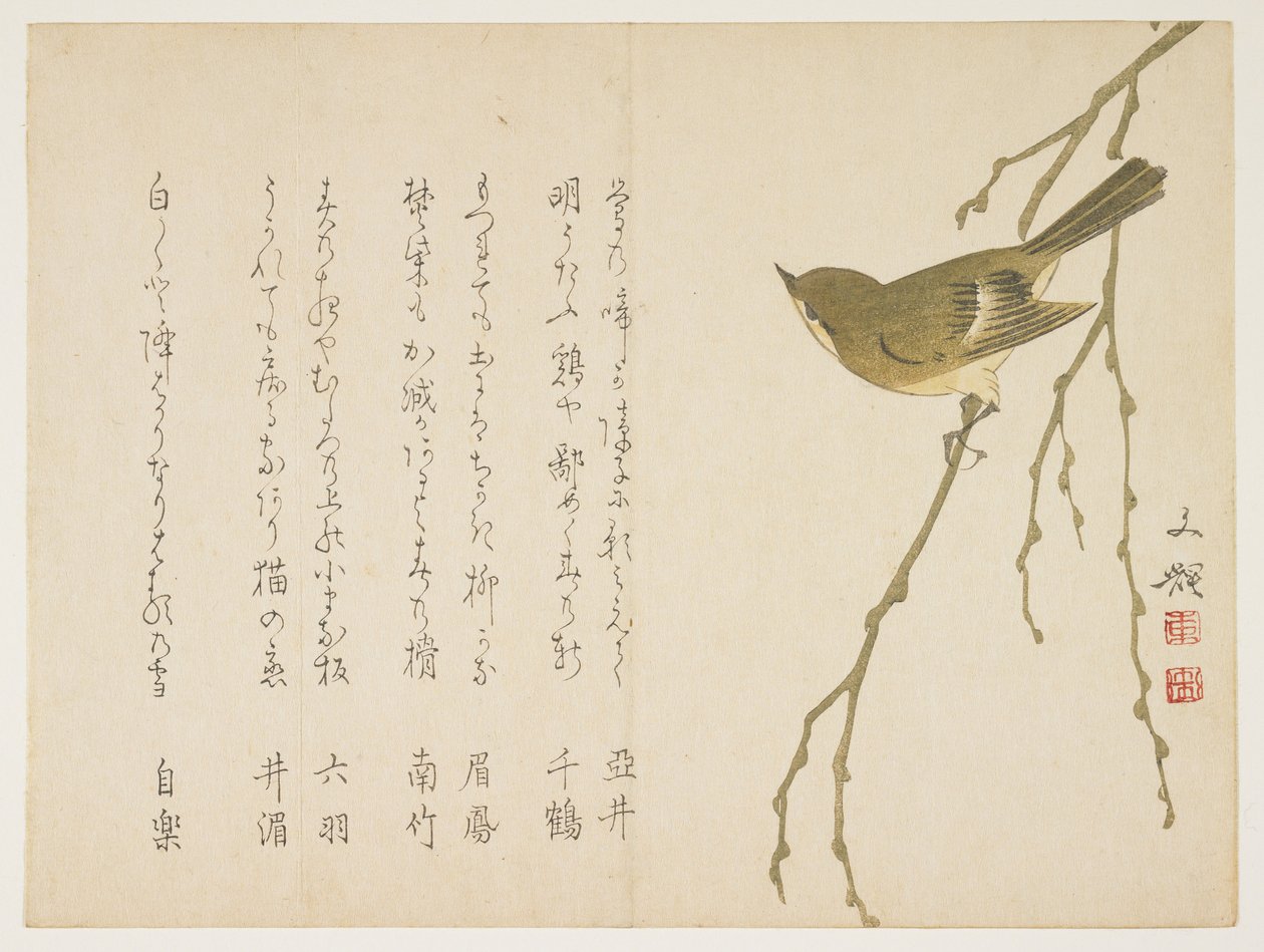 柳枝上的夜莺，1860年（彩色木版画） 作者 文基
