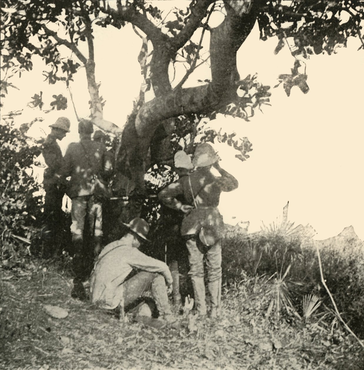 佩吉特船长看见的树...看见了...圣胡安战役，西班牙裔美国人战争，1898年6月，1899年。 作者 伯尔·麦金托什