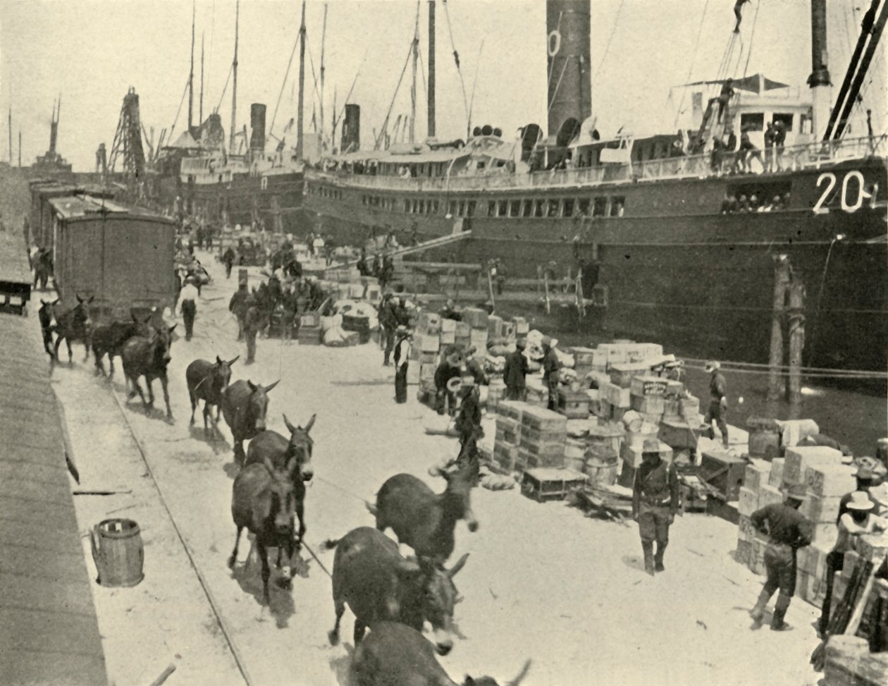 1898年6月10日，美国美利坚合众国战争，美国佛罗里达坦帕港的部队。 作者 伯尔·麦金托什