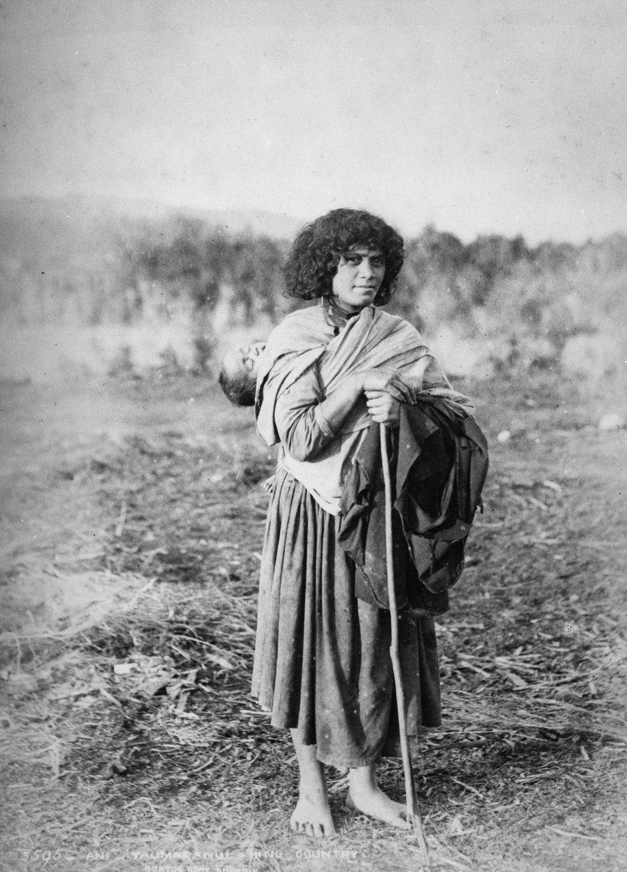 Ani  -  Taumaranui，King Country，1885 作者 伯顿兄弟工作室