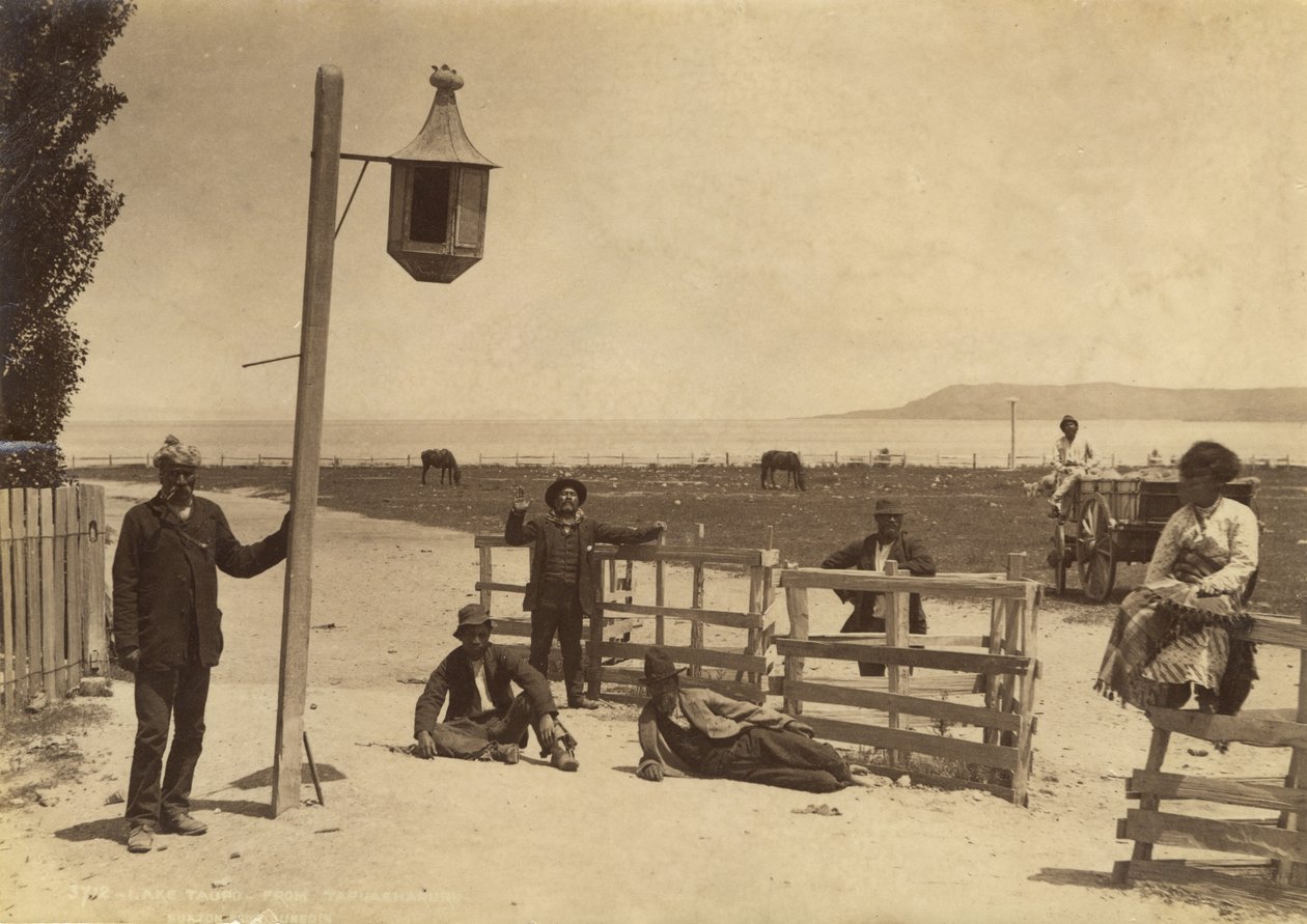 陶波湖 - 来自Tapuaharuru，c.1886（专辑打印） 作者 伯顿兄弟工作室