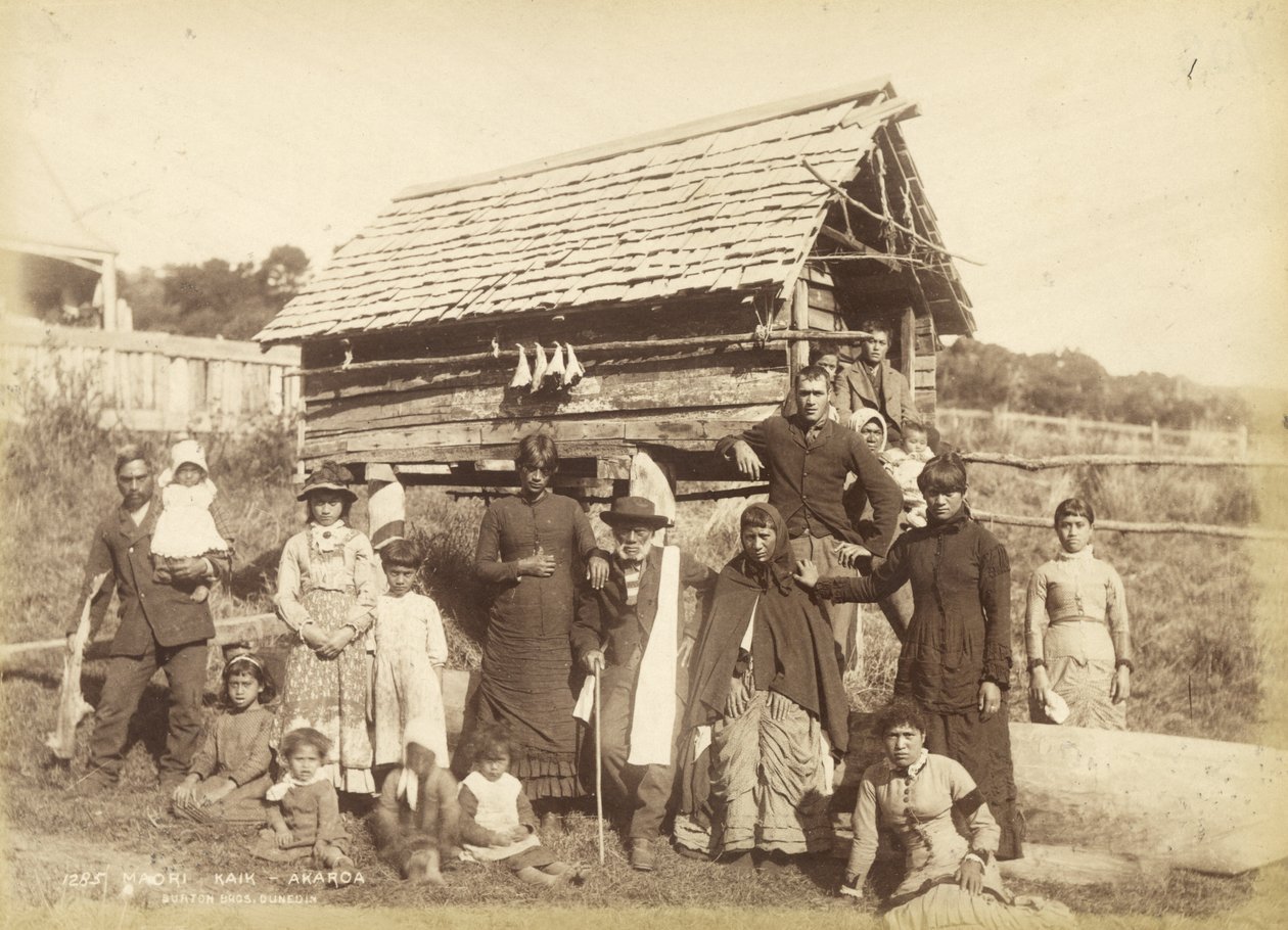 Maori Kaik  -  Akoroa，c.1884（蛋白印刷品） 作者 伯顿兄弟工作室