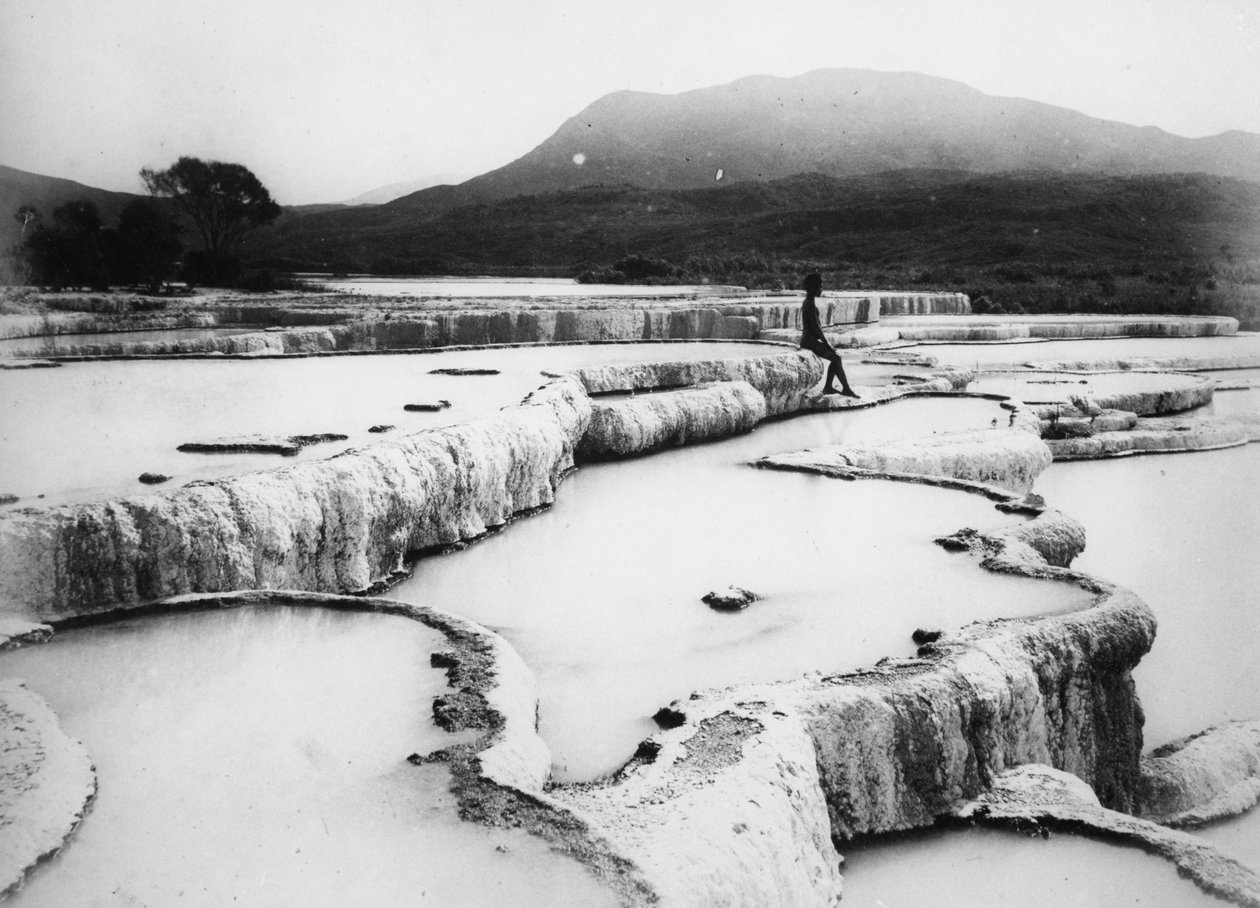 热水盆地和白色梯田，约 1880 年代（黑白照片） 作者 伯顿兄弟工作室