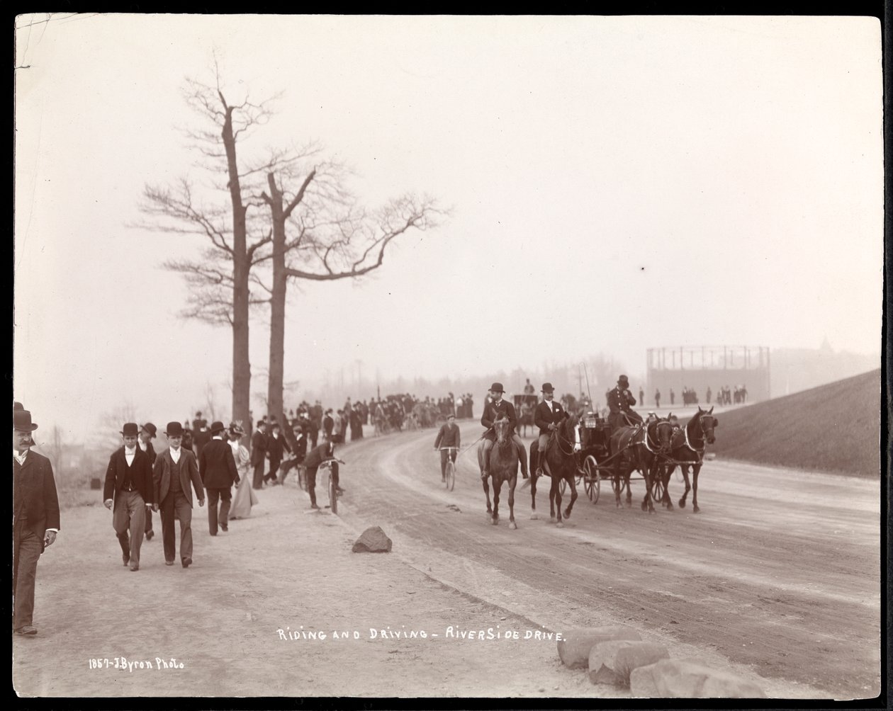 1896年，纽约Riverside Drive弯道上的自行车和马车（银色明胶印刷） 作者 拜伦公司