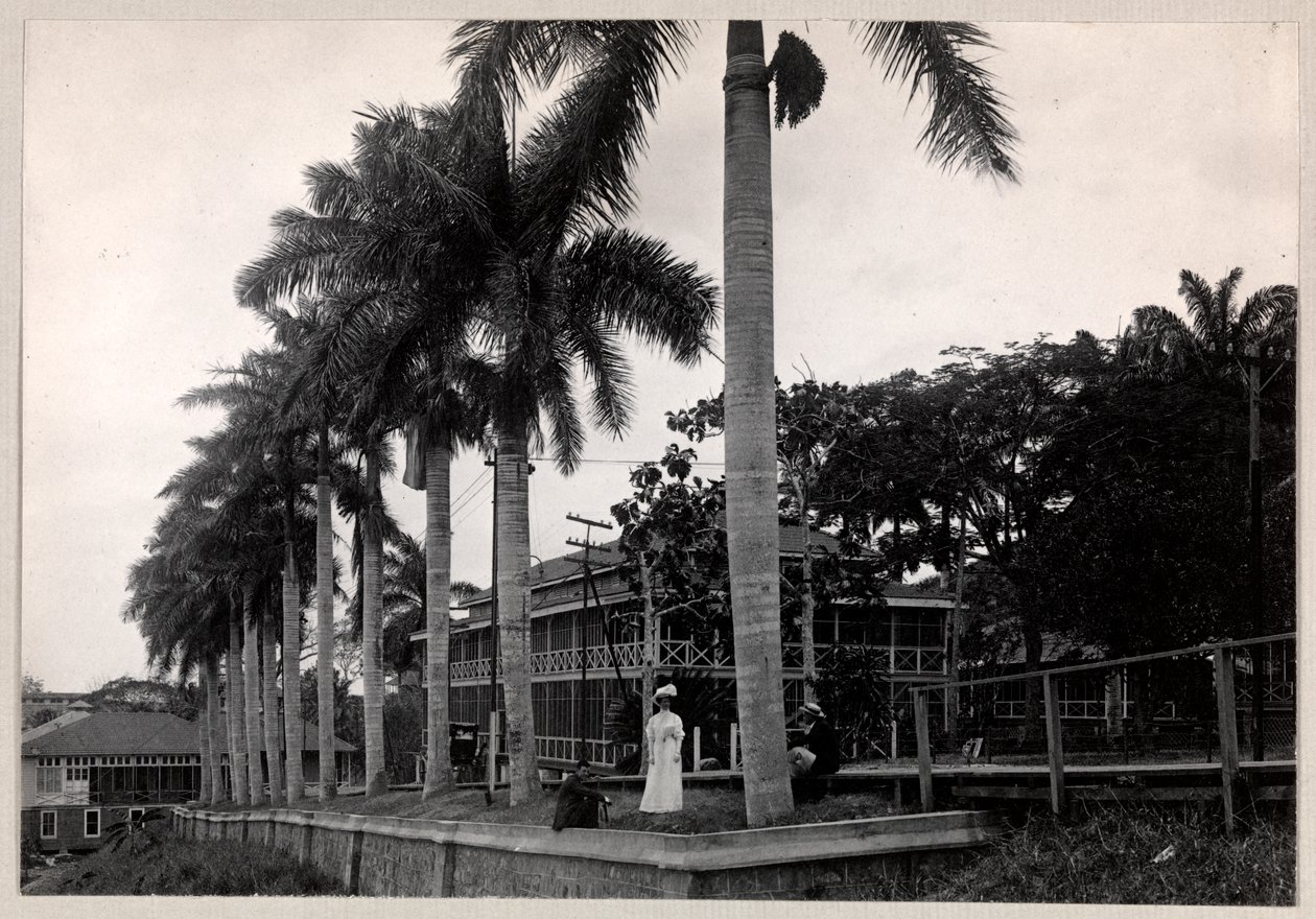 在巴拿马运河，1912年或1913年（银色明胶印刷）的建设期间，一群两个男人和一个女人在棕榈树下 作者 拜伦公司