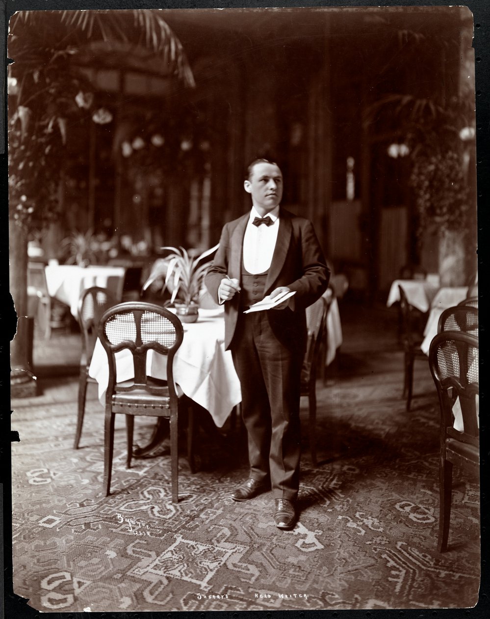 1902年纽约Sherry餐厅的服务员（银色明胶印刷品） 作者 拜伦公司