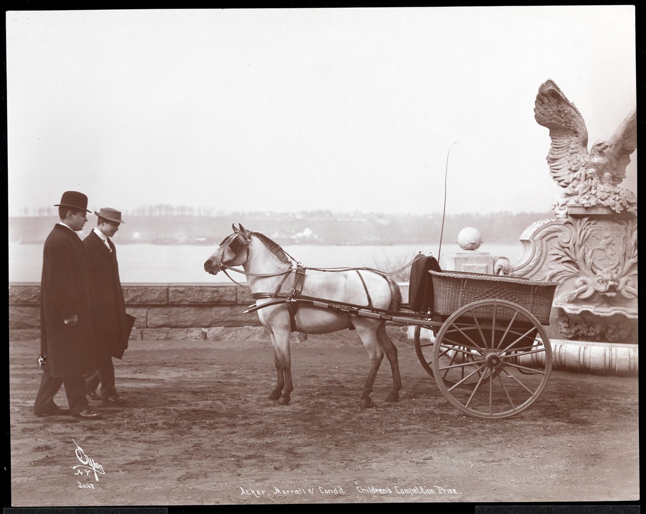 两个男人，小马和购物车，纽约，1910或1911年（银色明胶印刷） 作者 拜伦公司