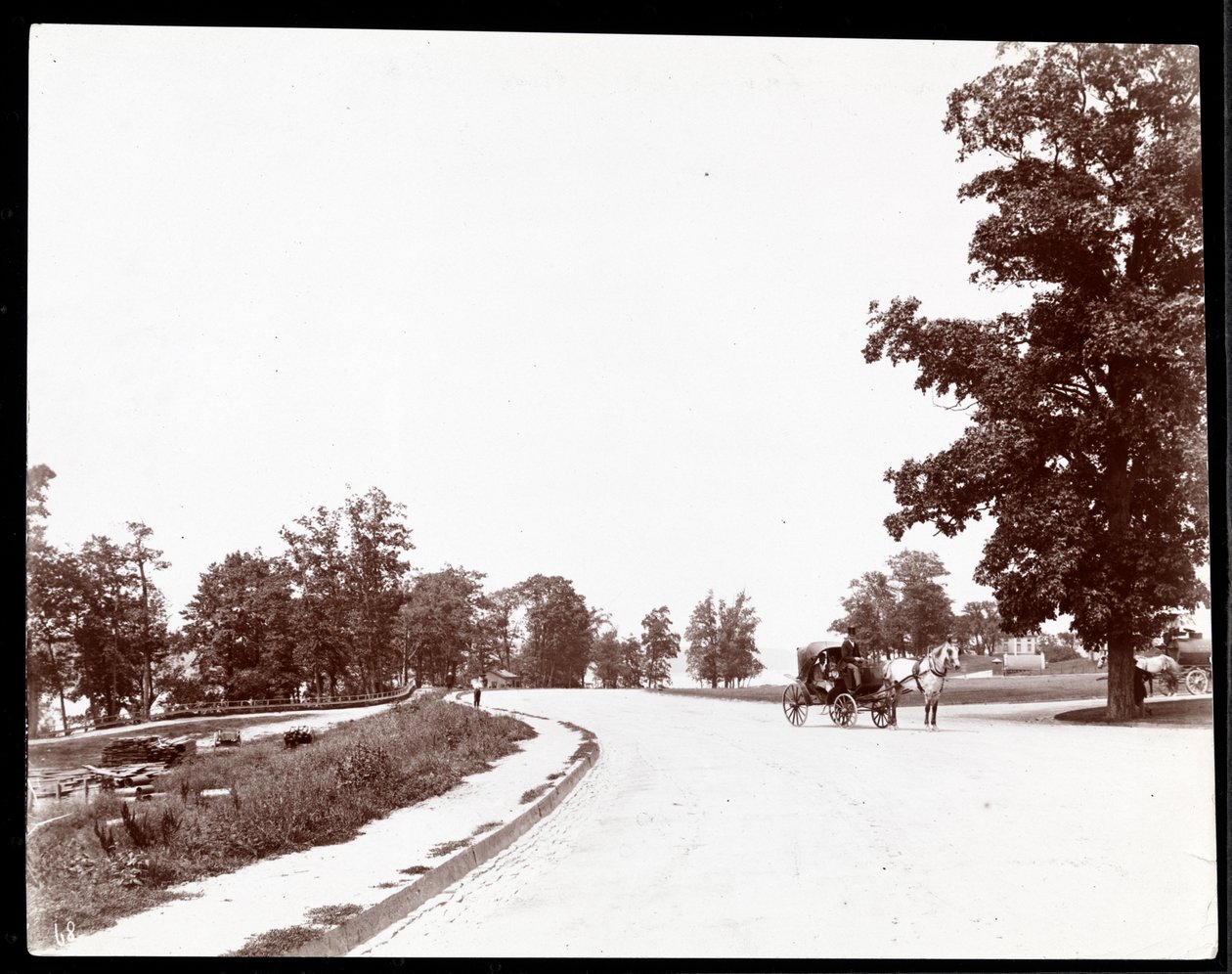在纽约Riverside Drive上的马车的视图，c.1893（银色明胶印刷） 作者 拜伦公司