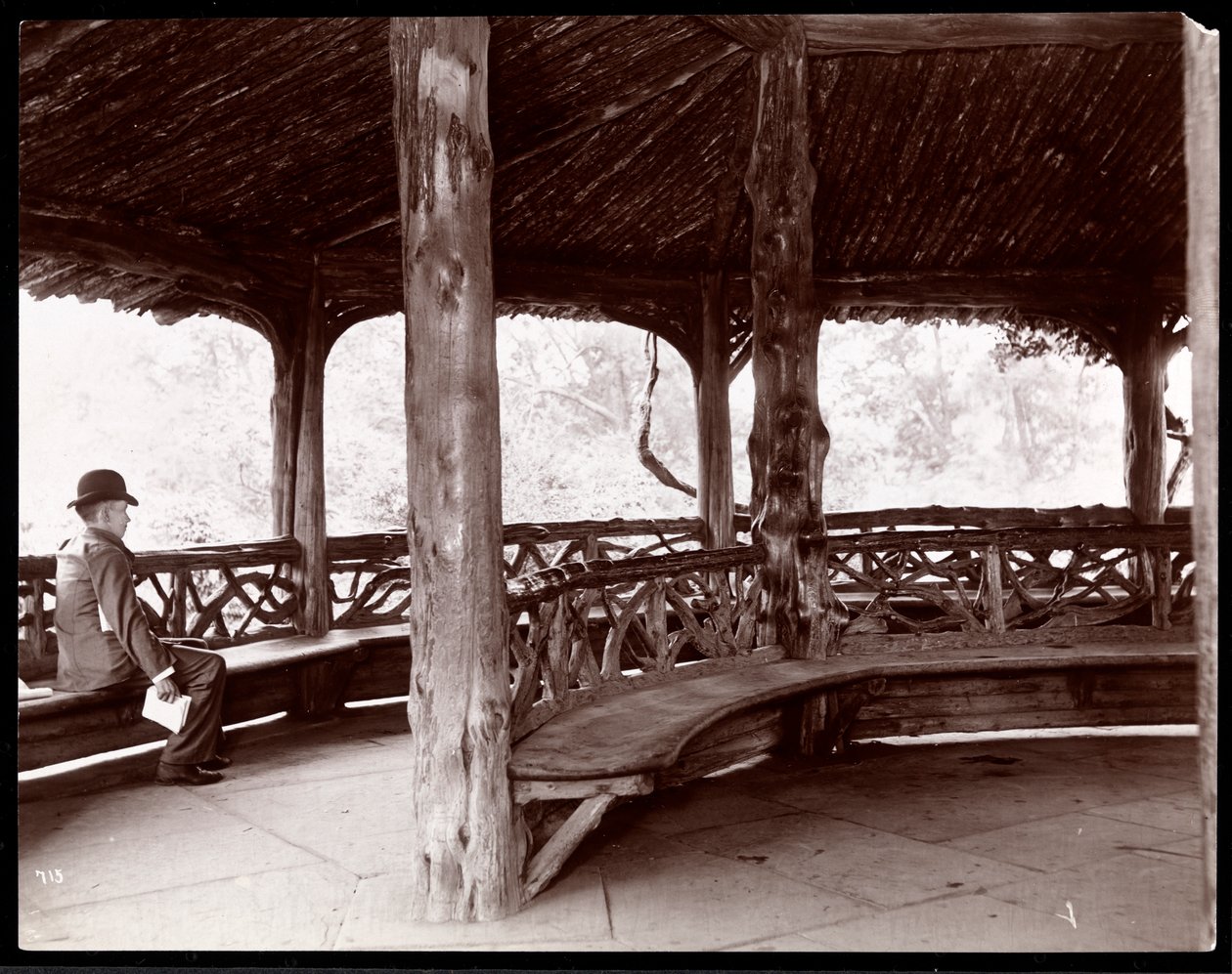 观点的一个人坐在一个乡村景观亭在中央公园，纽约，1895年（银明胶打印） 作者 拜伦公司