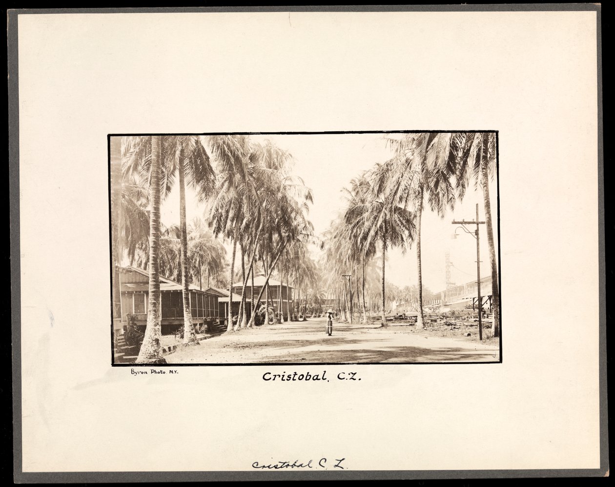 在运河，1912年或1913年（银色明胶打印）建设期间，棕榈树的视图通过克里斯托瓦尔，巴拿马排列了土路 作者 拜伦公司
