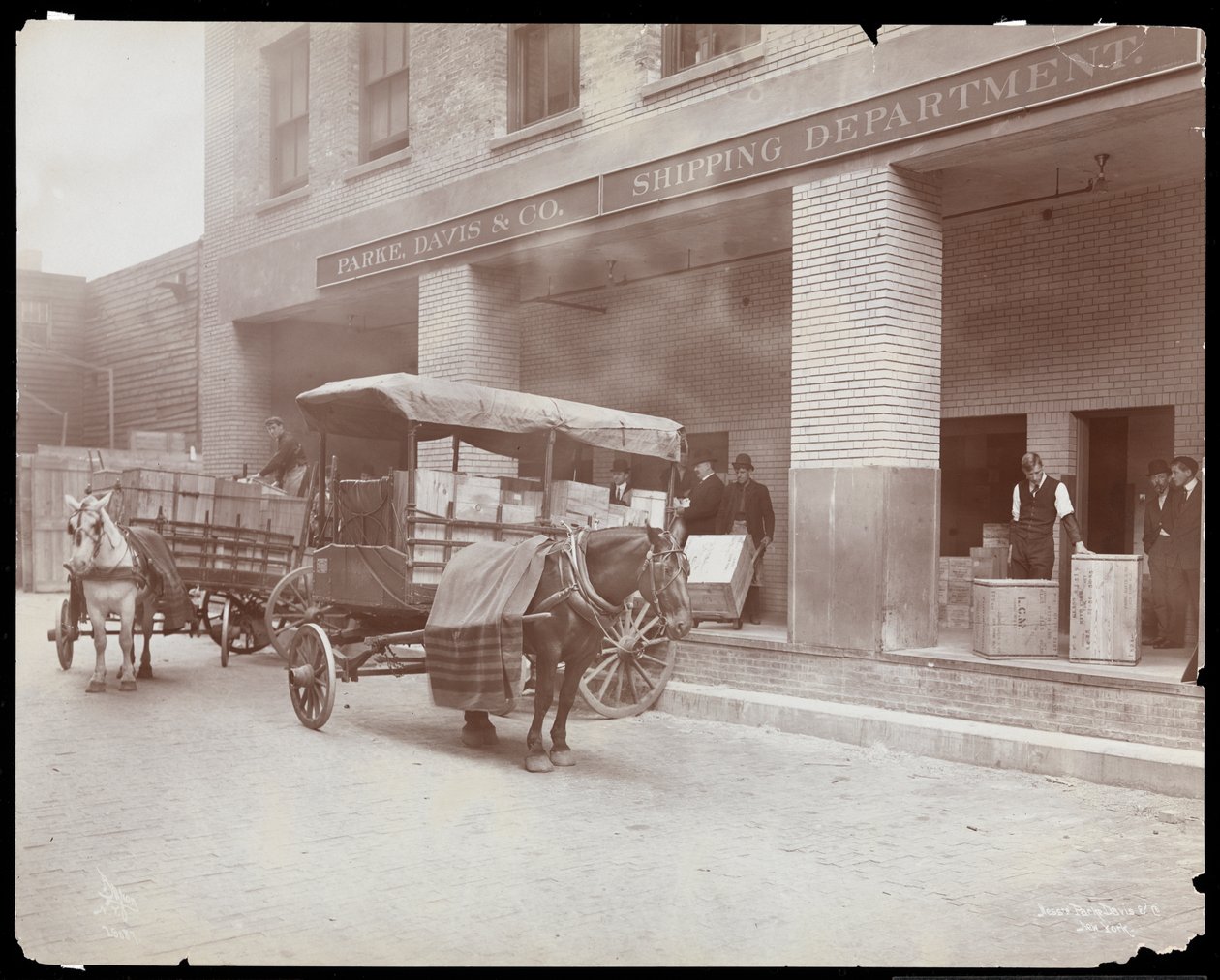 Parke，Davis und Co.，化学家，Hudson und Vestry Streets，纽约，1910年（银色明胶印刷）装运码头的装卸码头 作者 拜伦公司