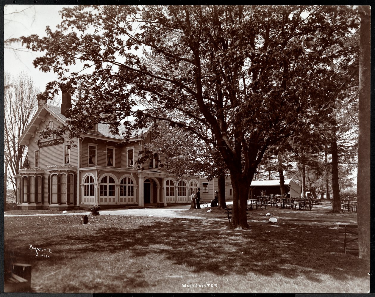 查看穿过Woodmansten Inn，Westchester，纽约，1901年的树木（银色明胶印刷） 作者 拜伦公司
