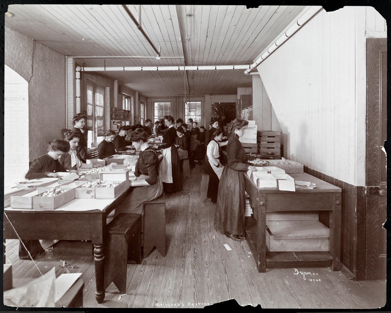 妇女在美拉德巧克力制造商包装糖果，1902年纽约West 25th Street，116118（银色明胶印刷） 作者 拜伦公司