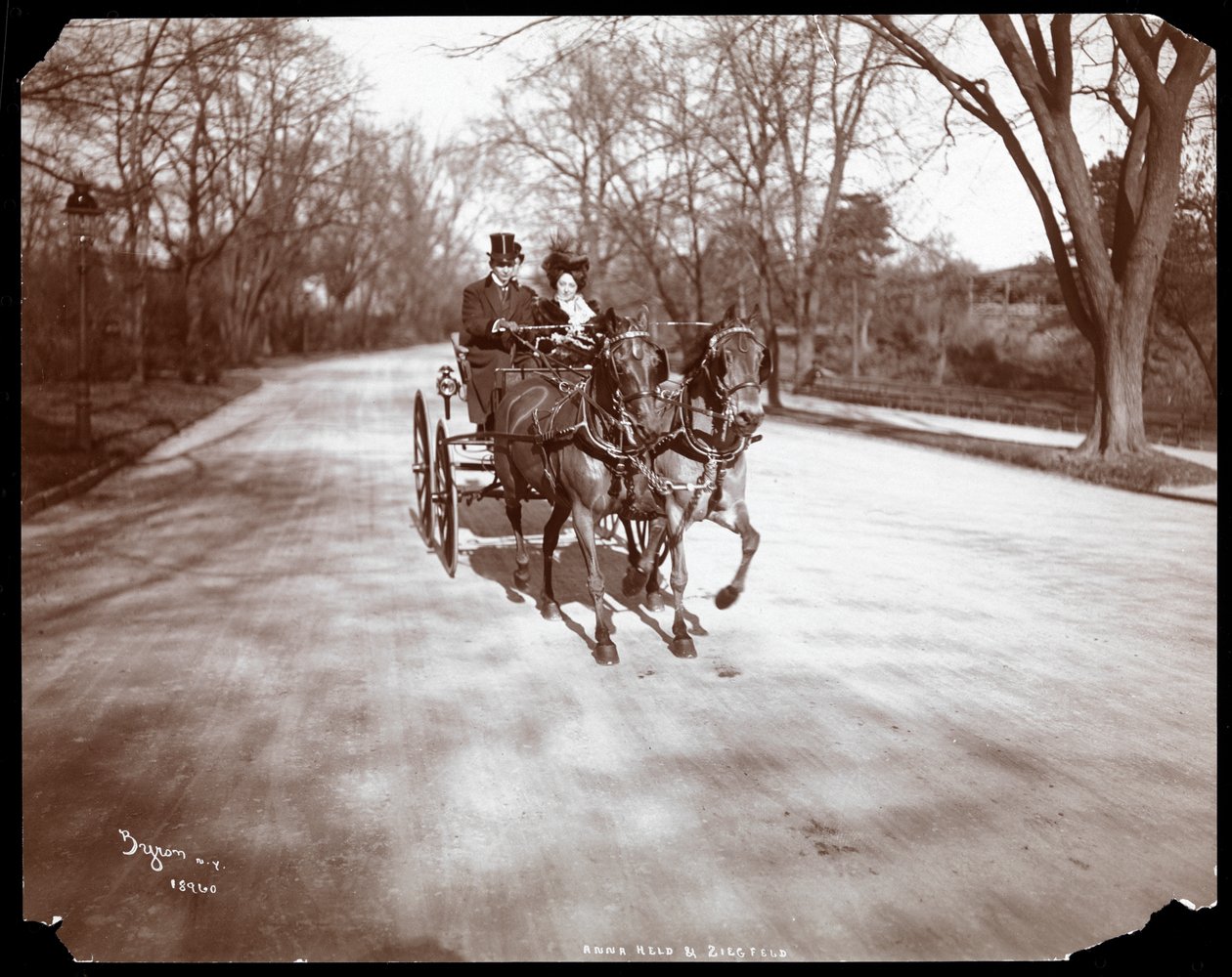 1904年，纽约，Anna Held和Florenz Ziegfeld驾驶一辆马车开着马车（银色明胶印刷品） 作者 拜伦公司