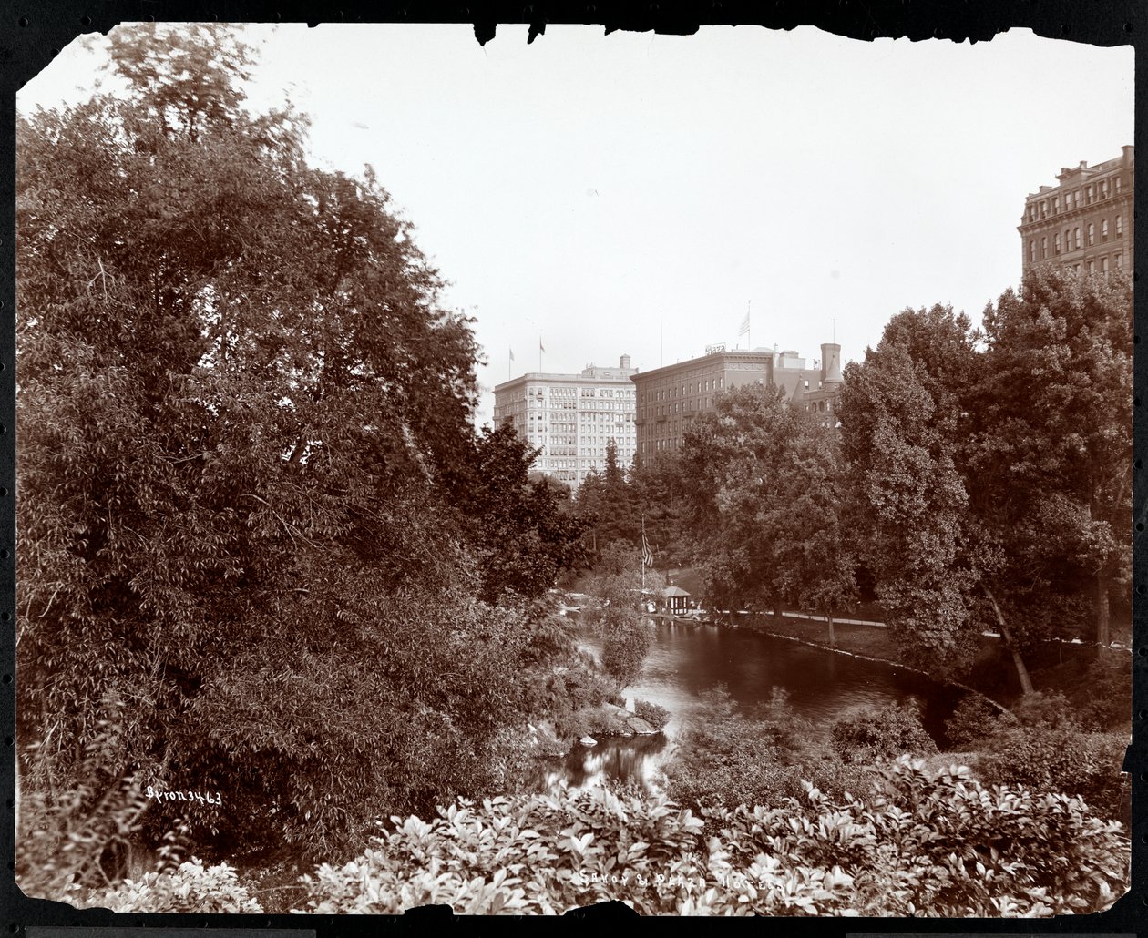 中央公园，可欣赏萨沃伊和广场酒店，第五大道和纽约第59街，c.1896-98（银色明胶印刷） 作者 拜伦公司