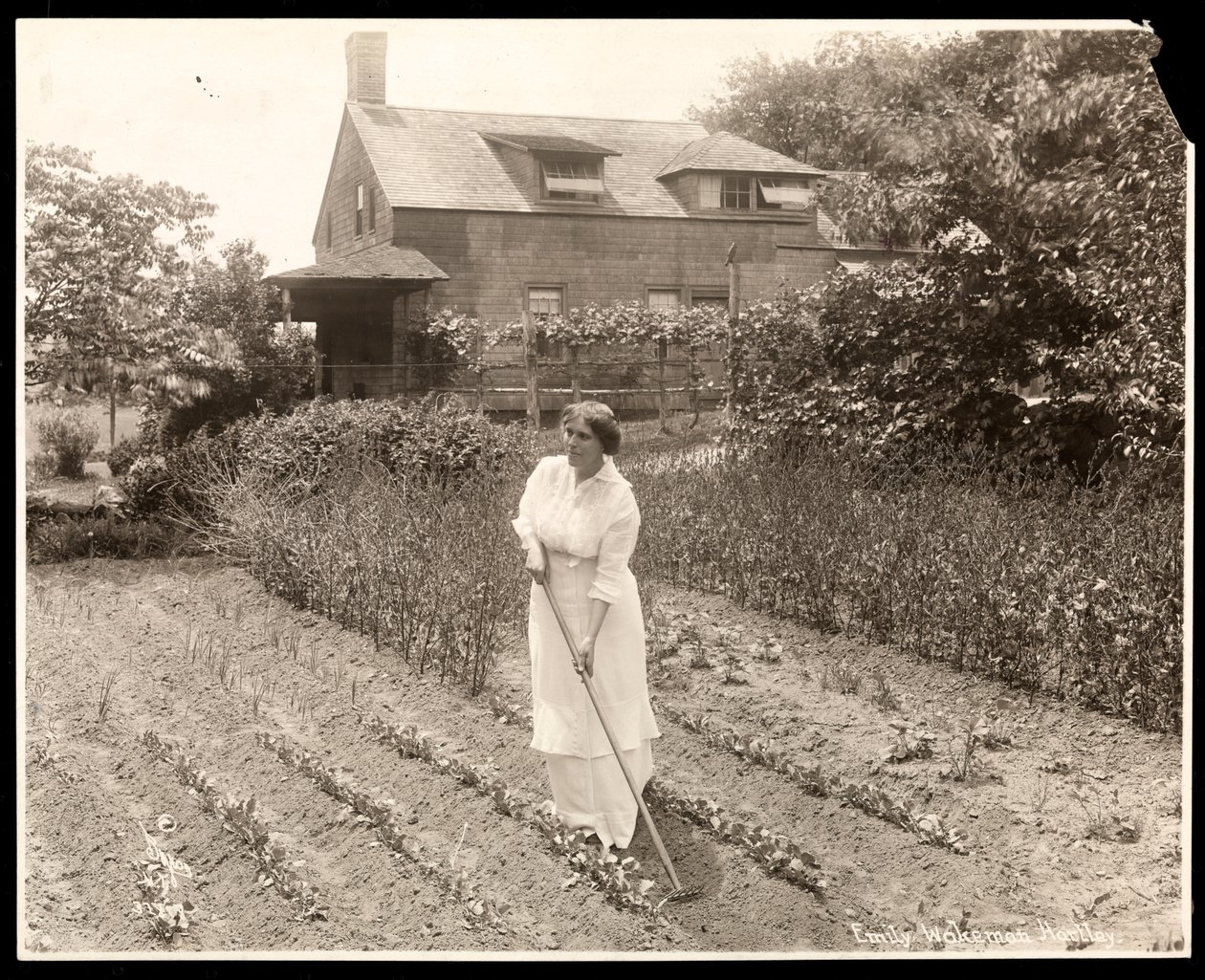 Emily Wakeman Hartley，c.1913（银色明胶印刷品） 作者 拜伦公司