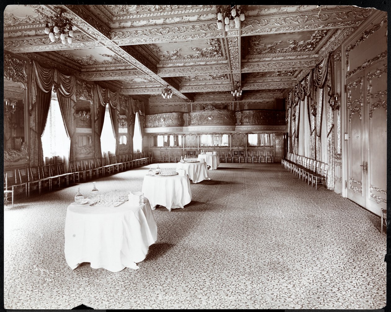 Hotel Delmonico酒店的接待室，1902年（银色明胶印刷） 作者 拜伦公司