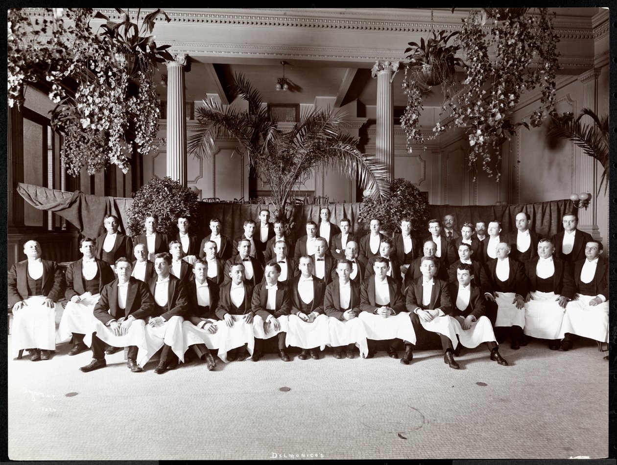 Hotel Delmonico酒店服务员，1902年（银色明胶印花） 作者 拜伦公司