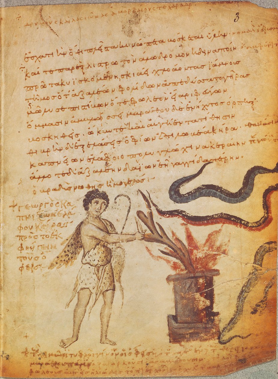 Supp Grec女士247 fol.3来自Colophon的Nicri的Theriaca（公元前2世纪）的牧民正在烧鹿角来驱逐蛇 作者 拜占庭