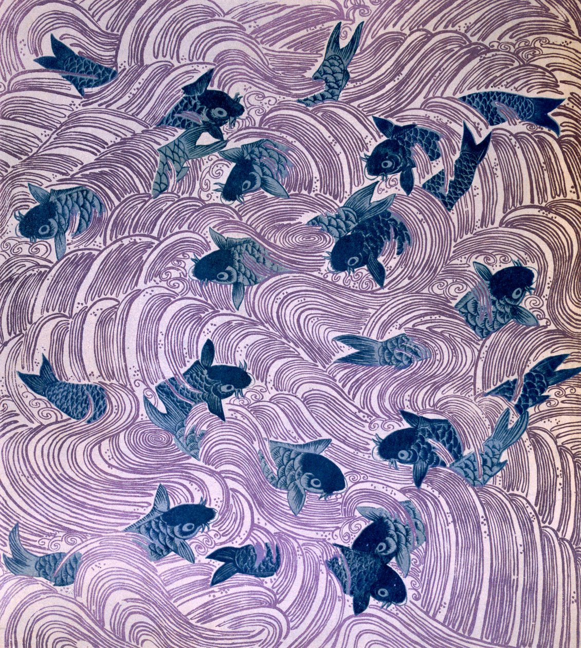 鱼 作者 凯尔