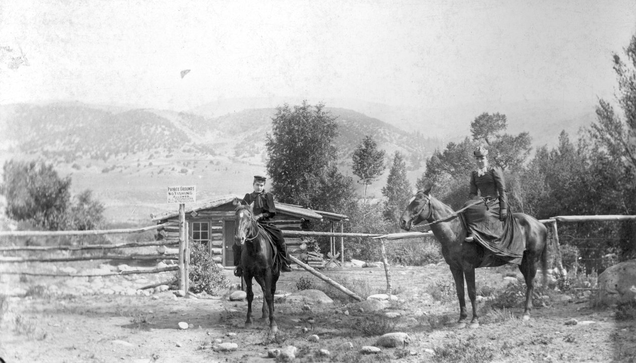 地区学校，1894年（bw照片） 作者 C.弗兰克·奥基夫