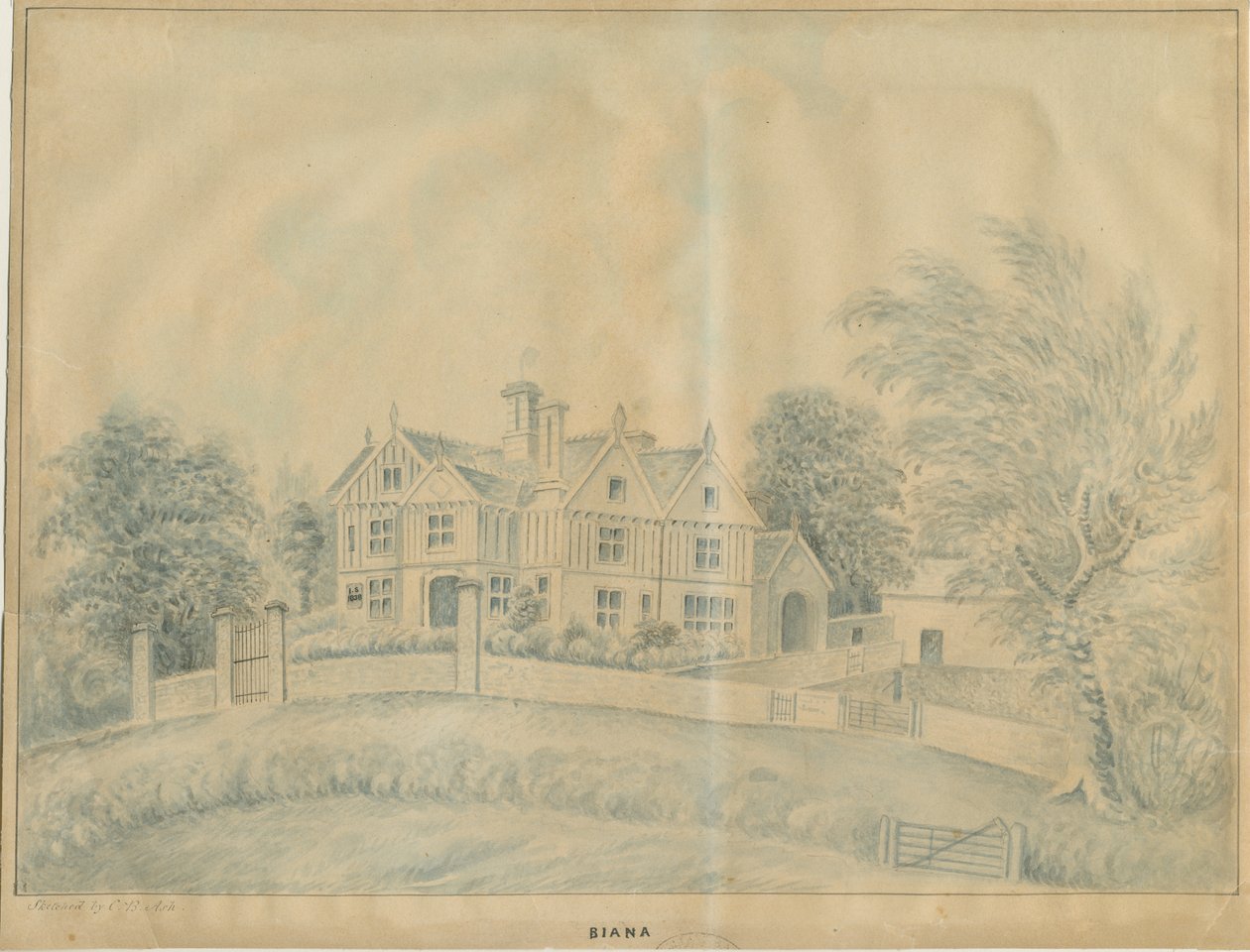 Eccleshall-Biana Hall：蓝色水墨画，nd [19世纪中叶] 作者 炭黑灰