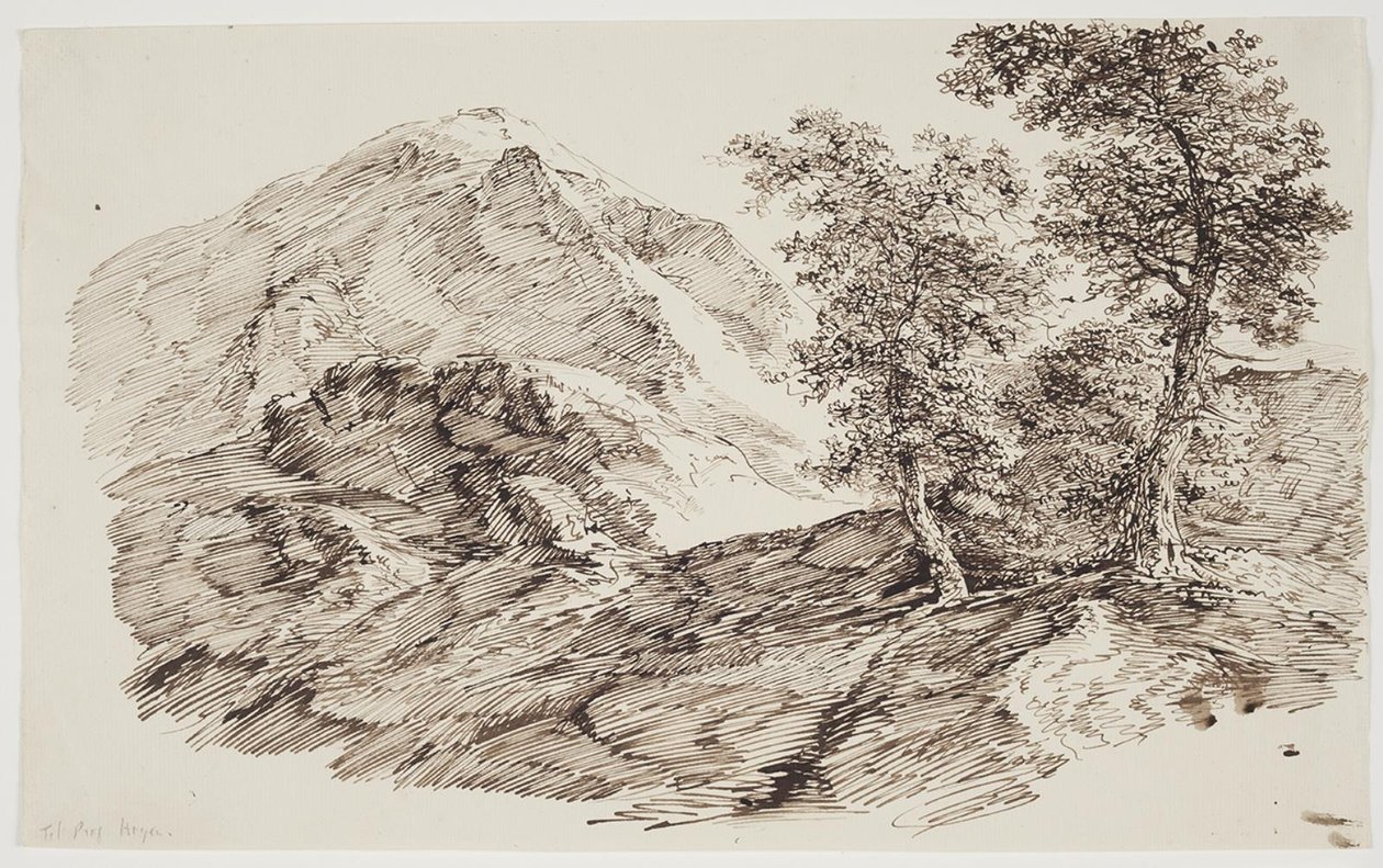 有树木的山景 作者 CF by Rumohr