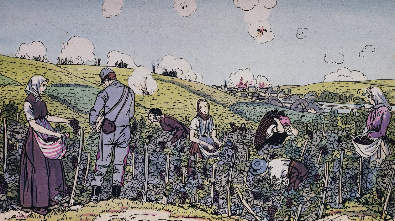 我们的葡萄种植者在炮火中收获，1914年香槟地区的收获，第一次世界大战，法国，20世纪 作者 JB 和 Brown J. 和 Rowbotham