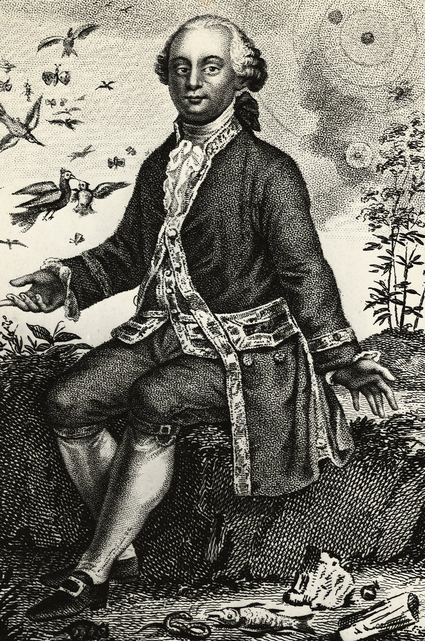 乔治-路易-勒克莱尔-德-布冯（1707-1788）的肖像，法国自然学家和数学家，雕刻品 作者 JB 和 Brown J. 和 Rowbotham