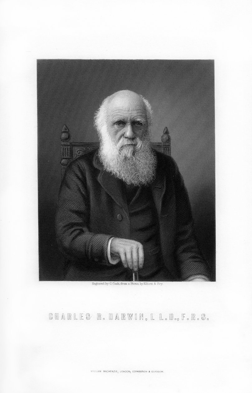 英国博物学家查尔斯·达尔文（Charles Darwin），1899年。 作者 库克
