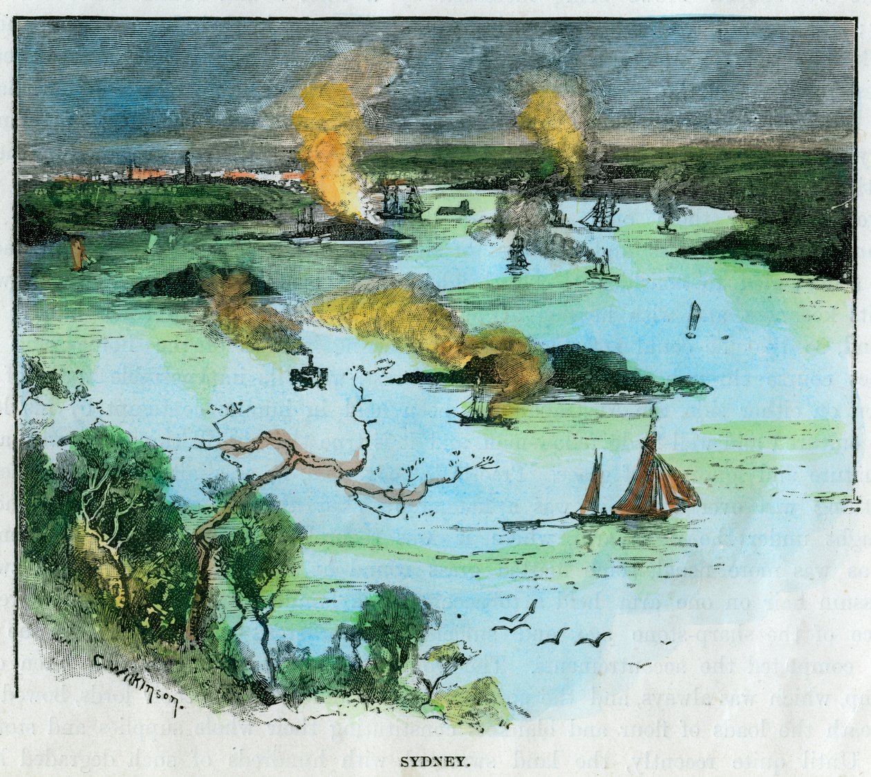 悉尼，澳大利亚新南威尔士州，建于1885年。 作者 威尔金森