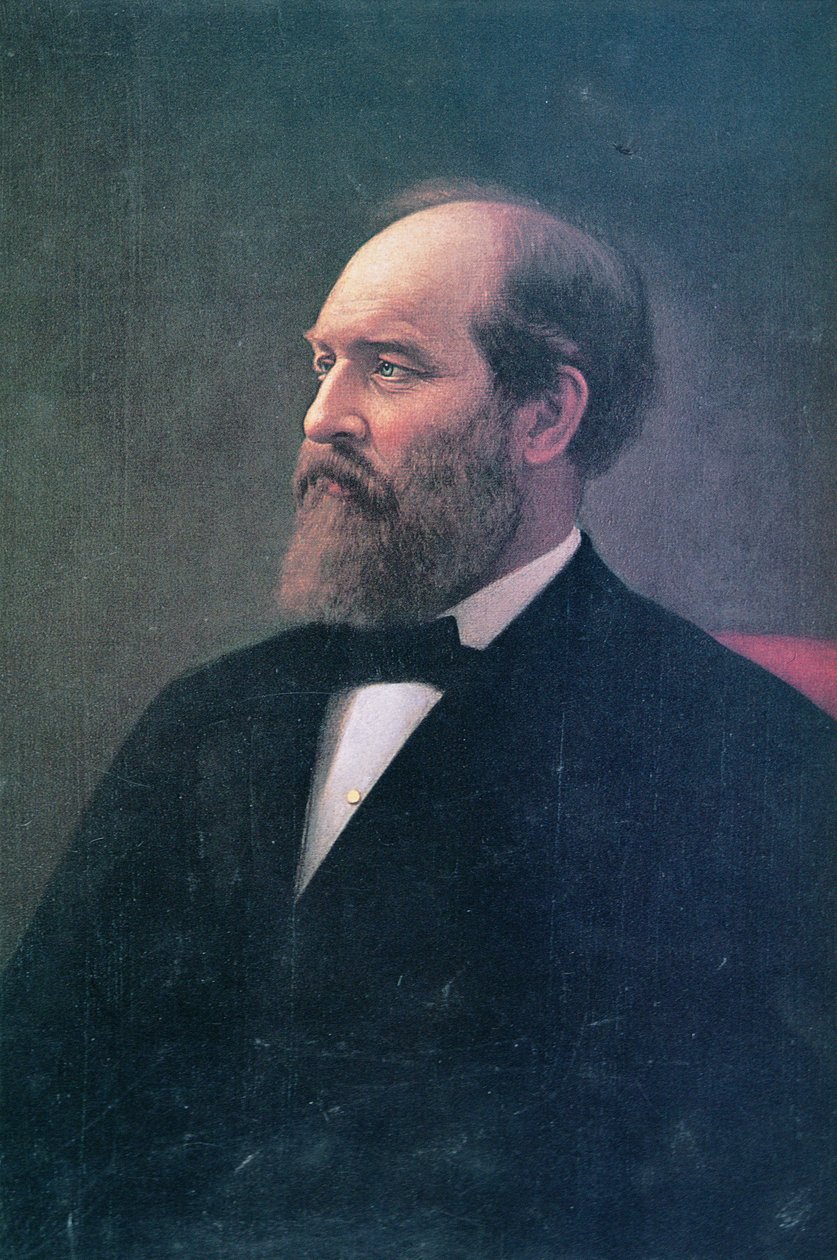 James A. Garfield (1831-81)（布面油画） 作者 卡尔文柯蒂斯