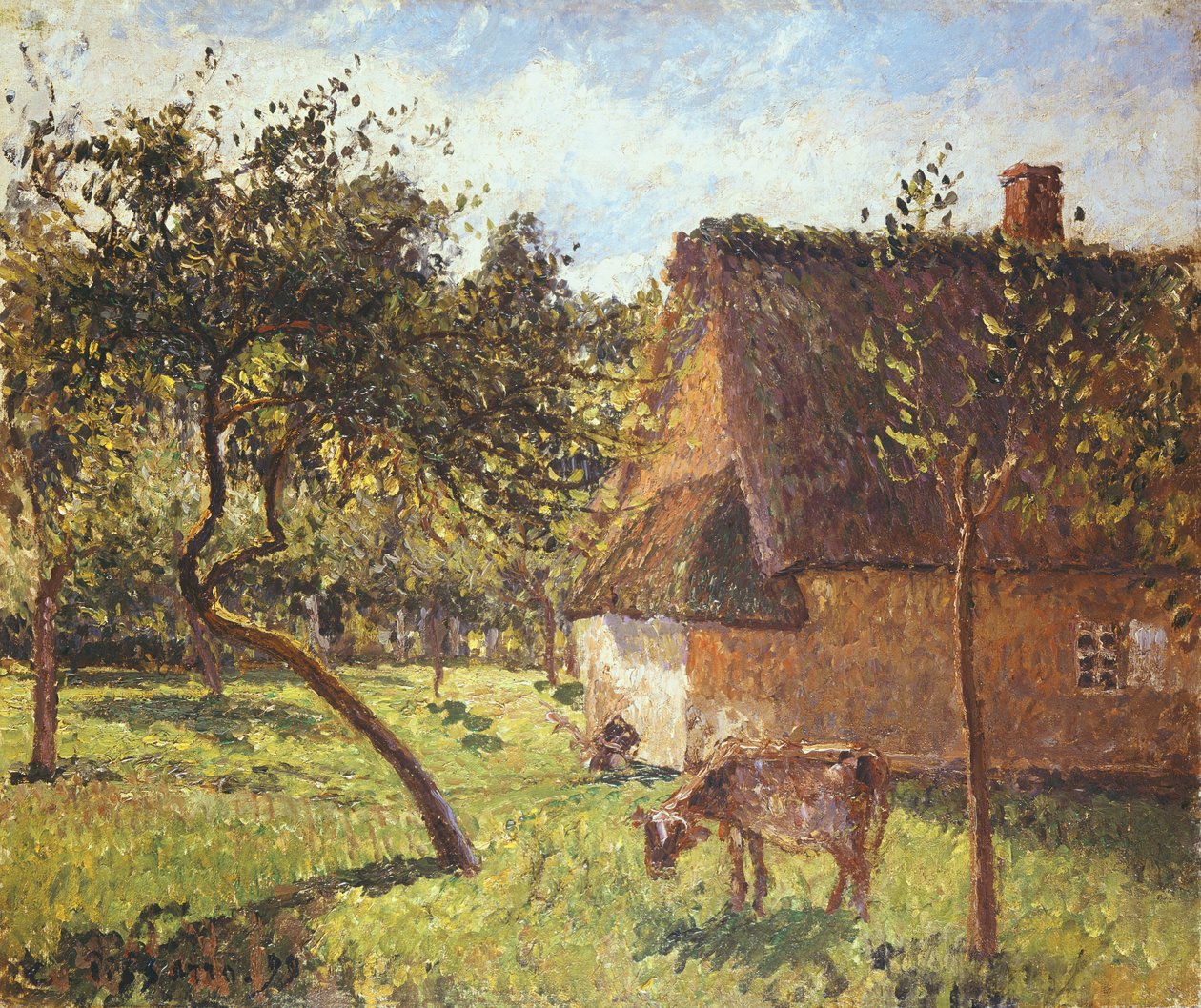 在Varengeville，1899年的领域 作者 卡米尔·雅各布·毕沙罗