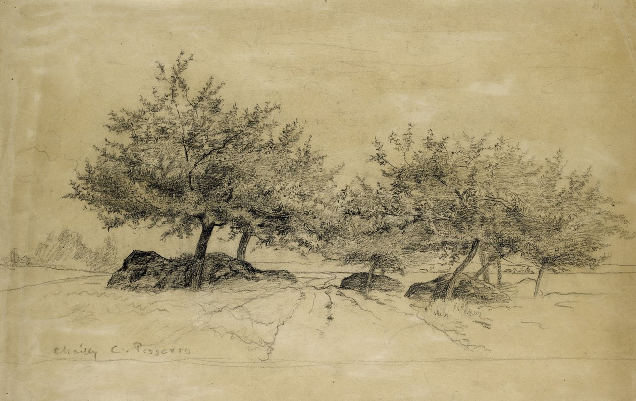 Recto：Chailly，c。 1859年（米色纸上的木炭） 作者 卡米尔·雅各布·毕沙罗