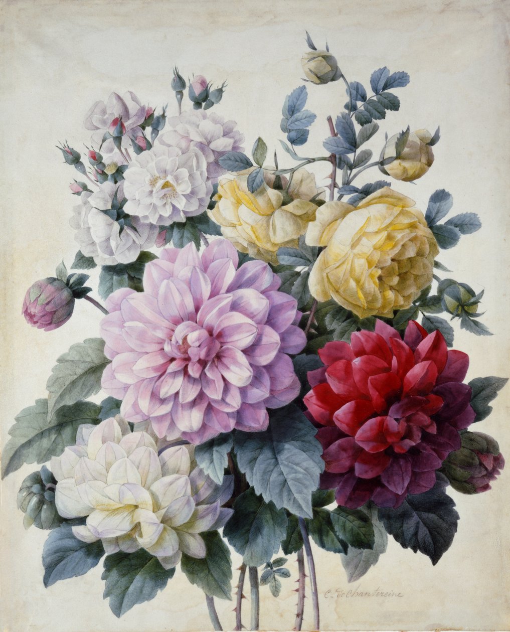 花束，大丽花和玫瑰，出版于1830-40号（点画雕刻手工彩色） 作者 Camille de Chantereine