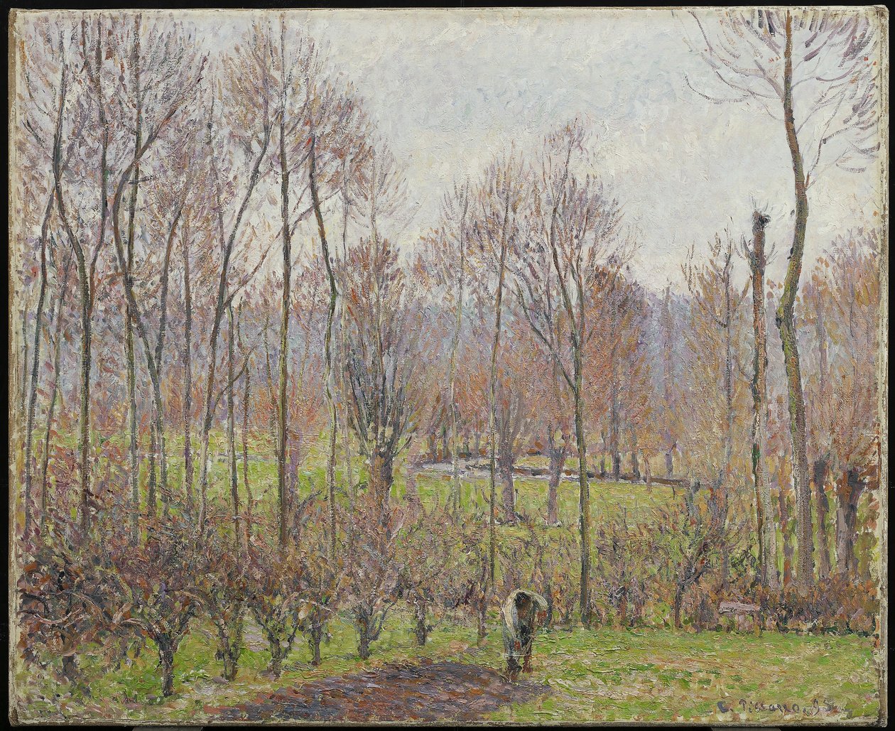 杨树，灰色天气，Eragny，1895年 作者 卡米尔·雅各布·毕沙罗