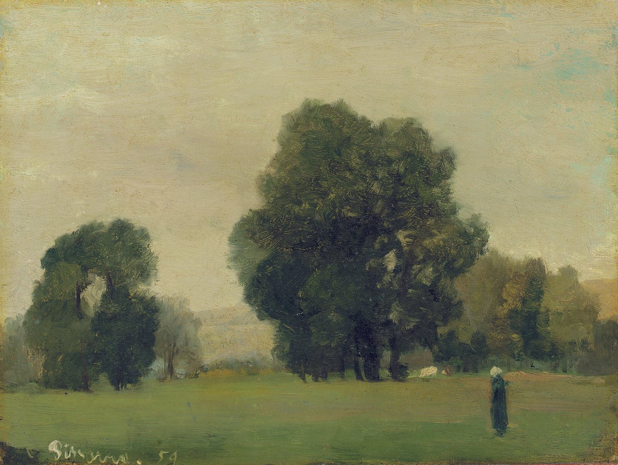 拉罗什圭永（La Roche-Guyon）草地，1859年 作者 卡米尔·雅各布·毕沙罗